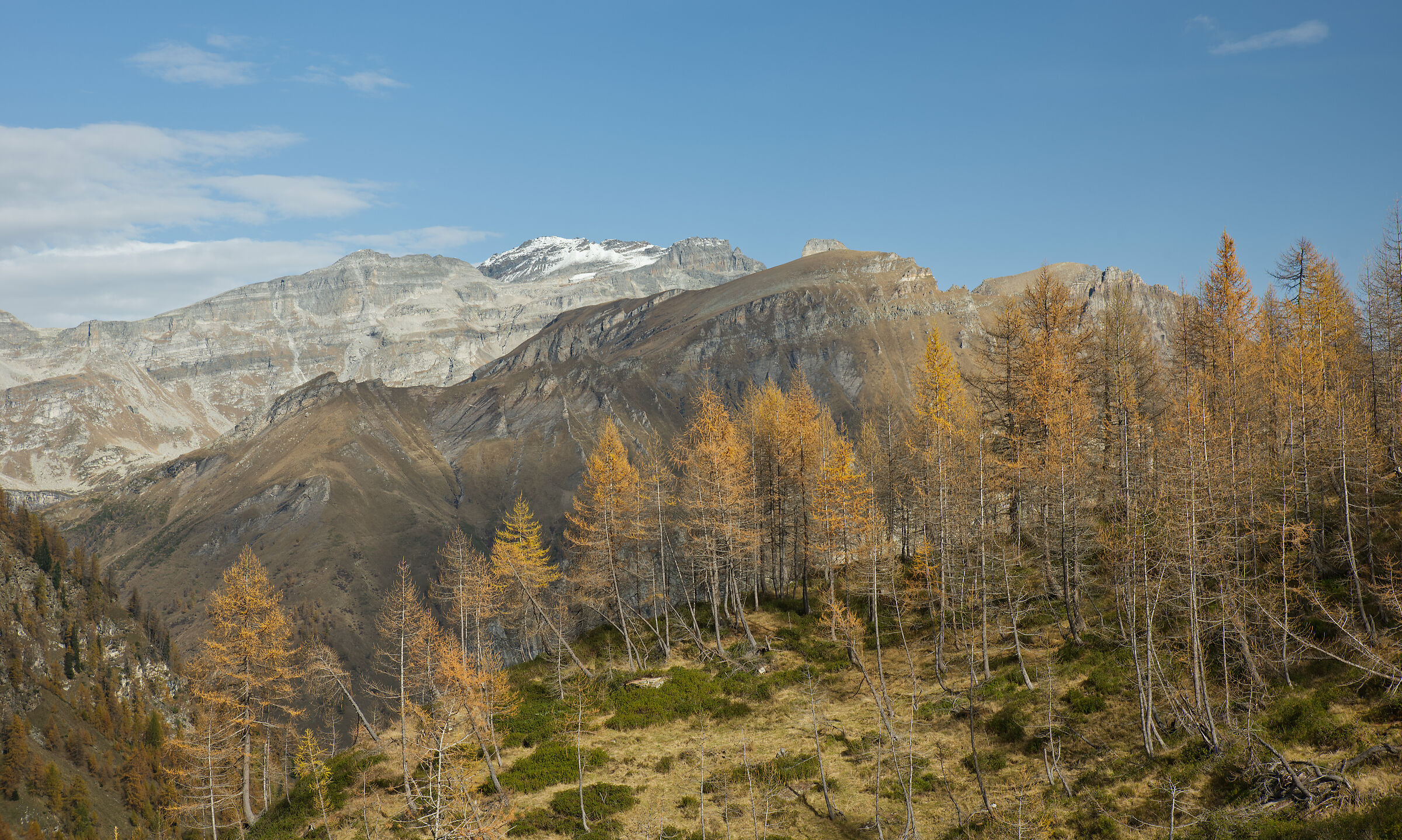 autunno in Valdivedro 2022