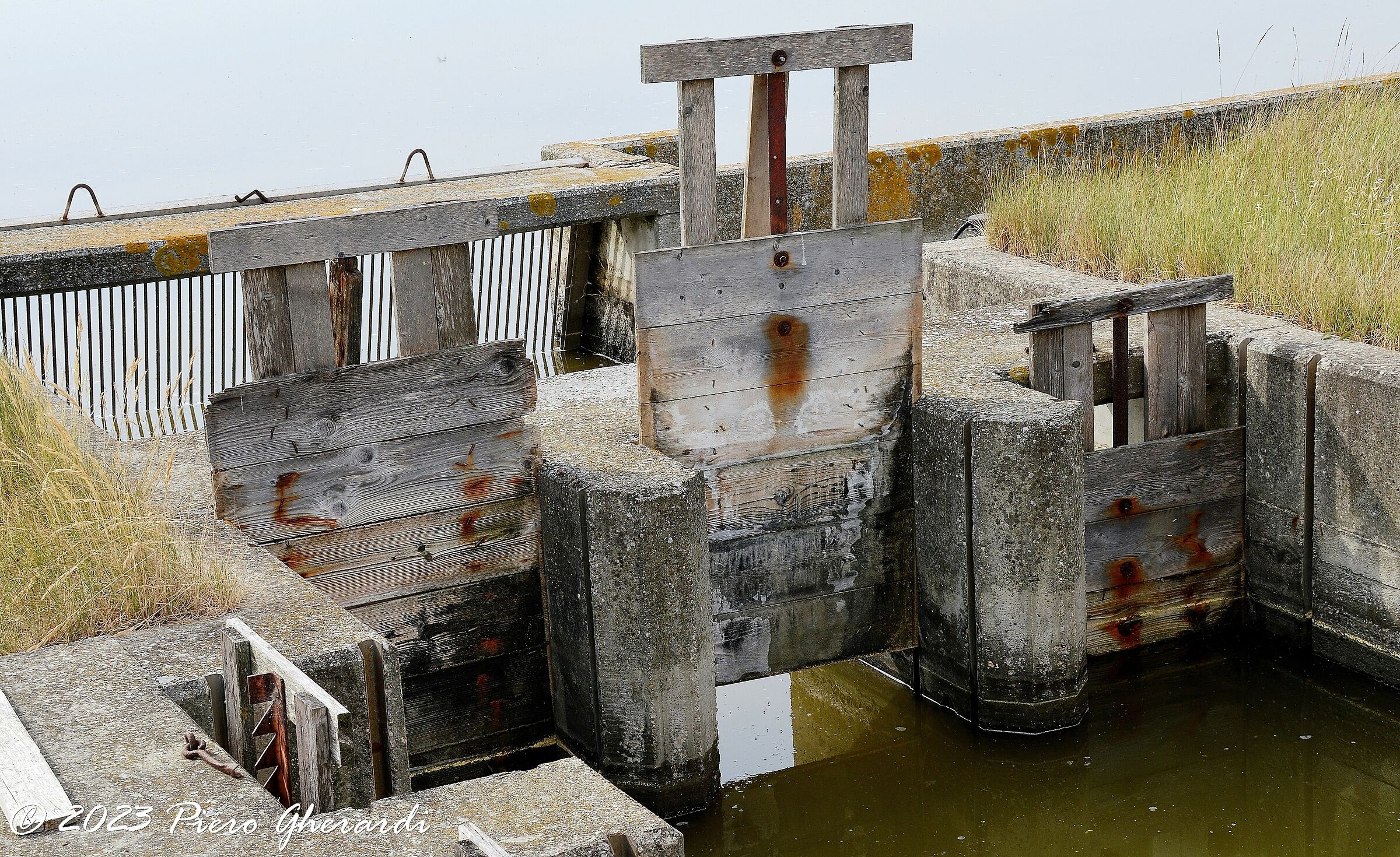 Saline di Cervia