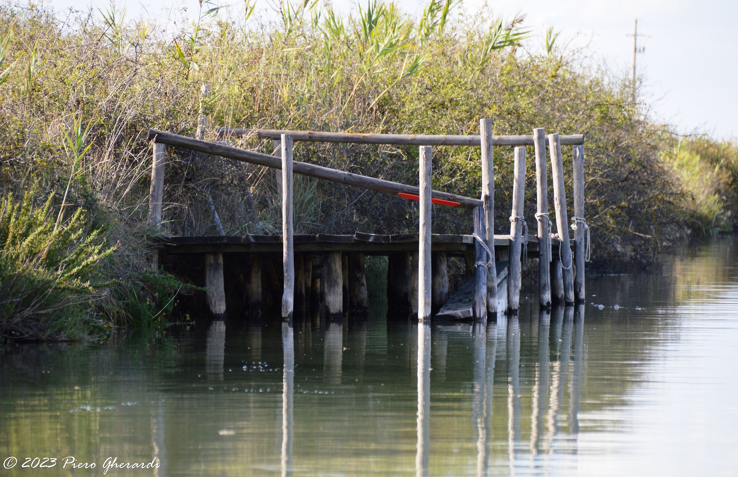 Saline di Cervia