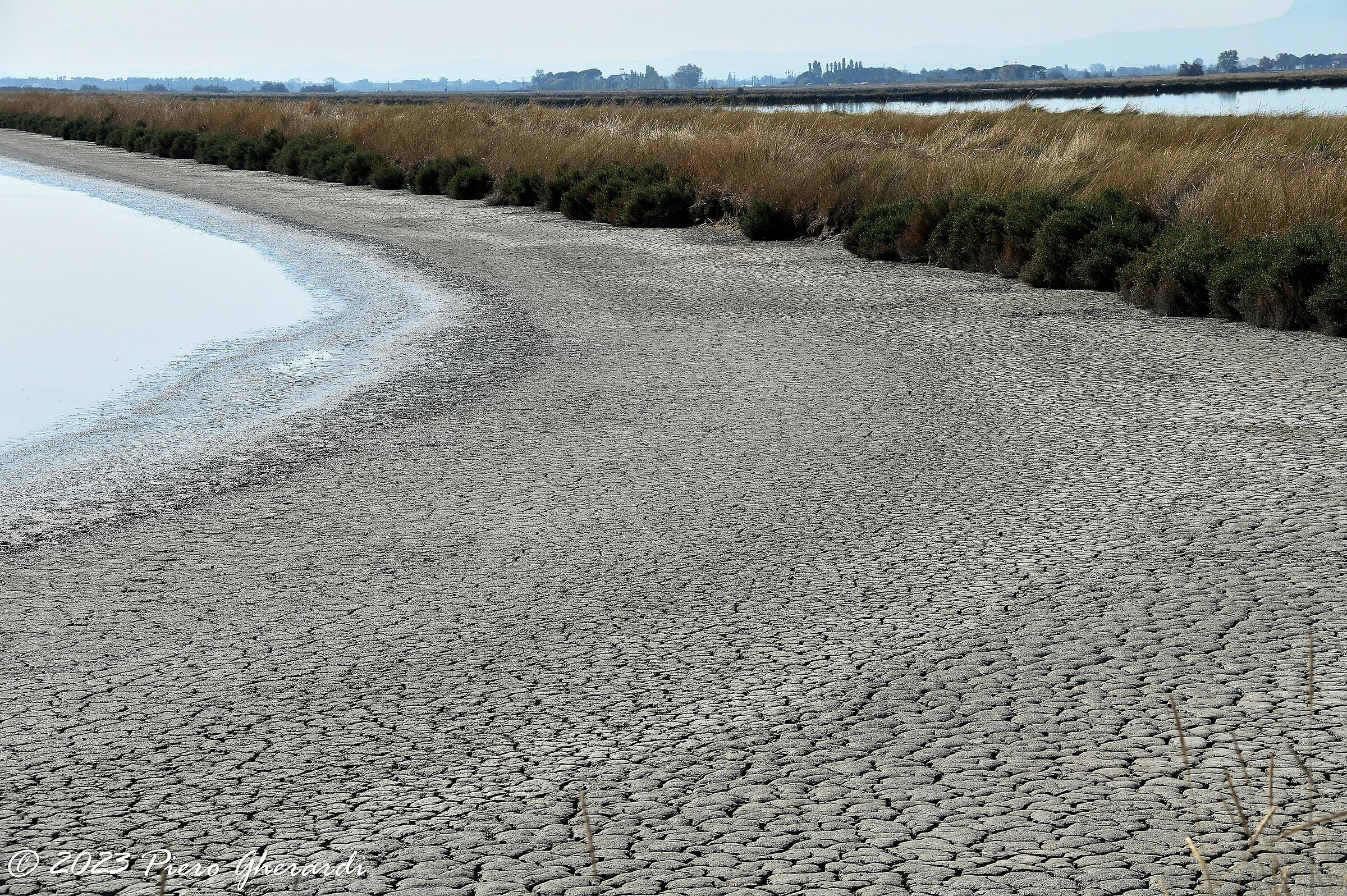 Saline di Cervia