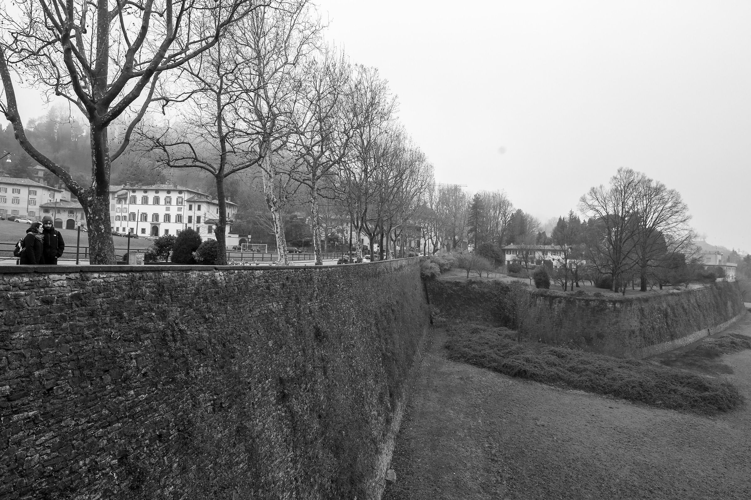 Sulle spalle di giganti