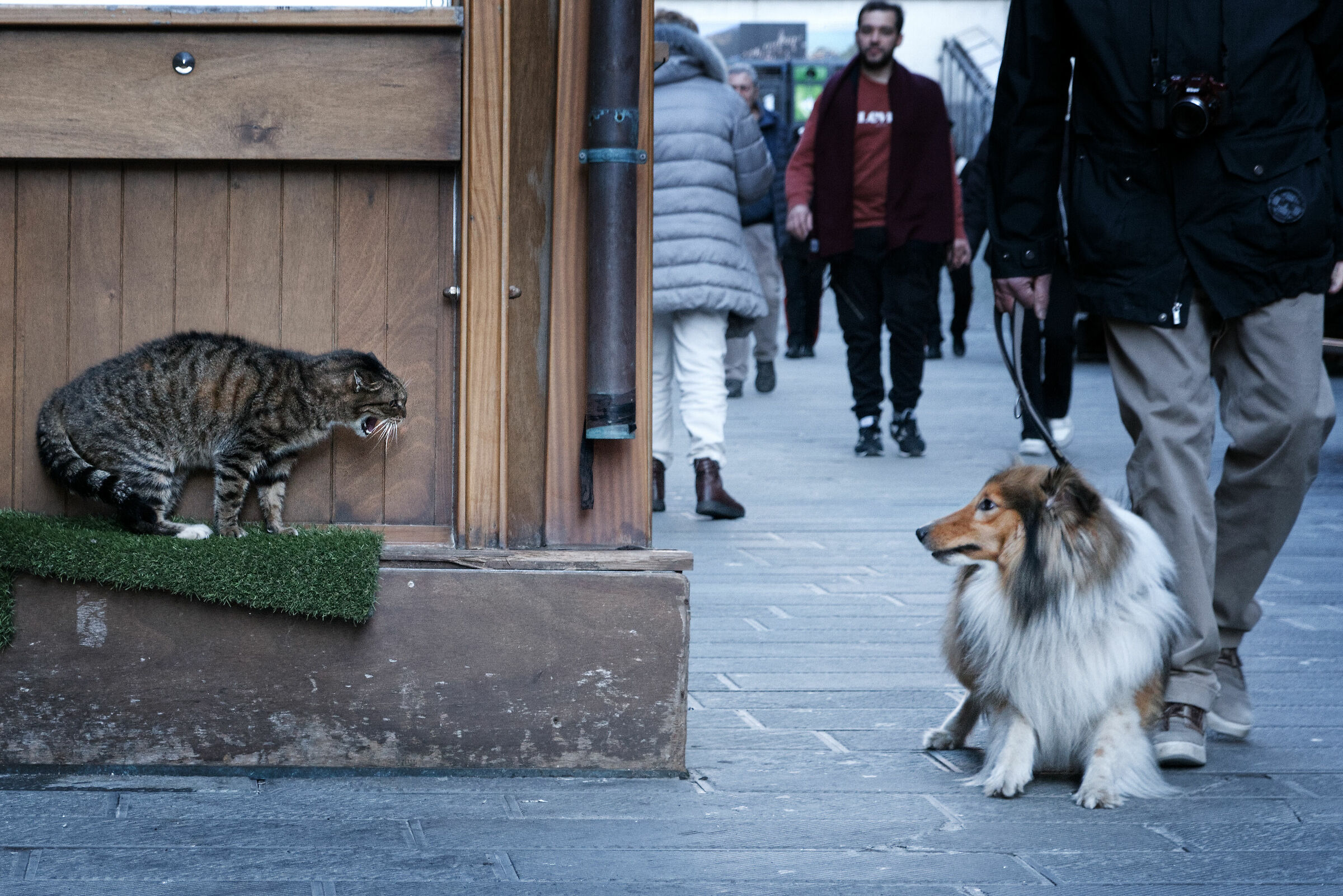 incontro ravvicinato