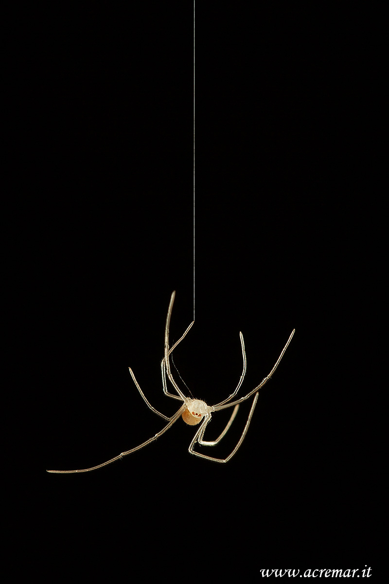 His first thread .....