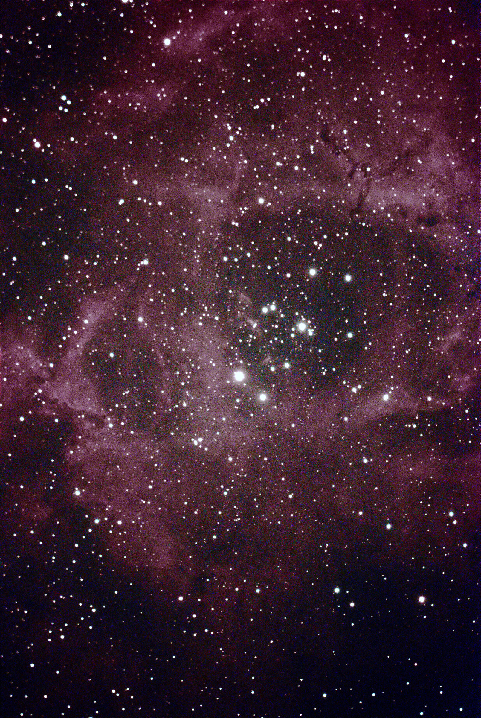 center of the Rosetta Nebula NGC2244