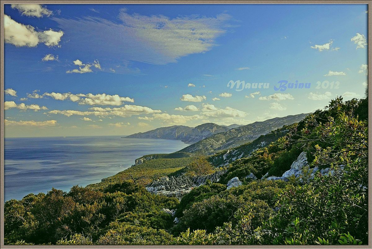 Gulf of Orosei. Toddeito, fold in ancient juniper