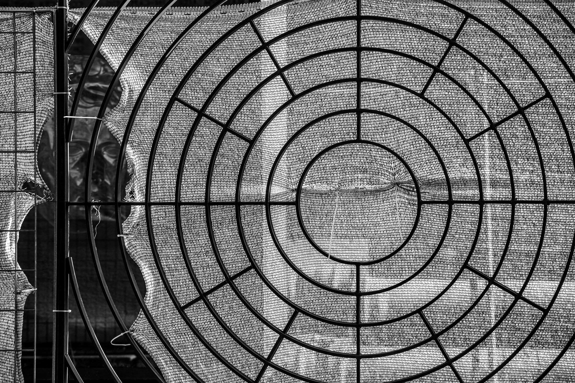 Oggi non sono una preda