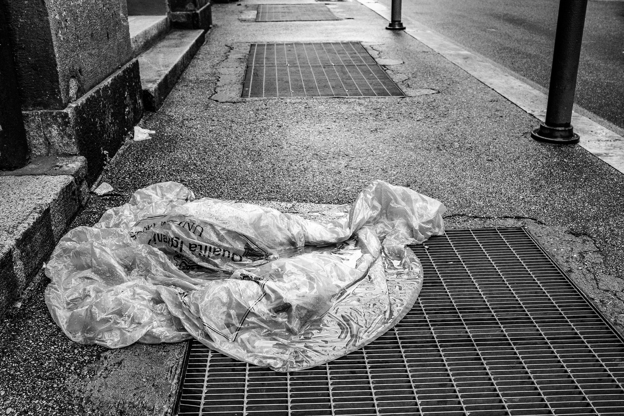 La paura è come una zona selvaggia