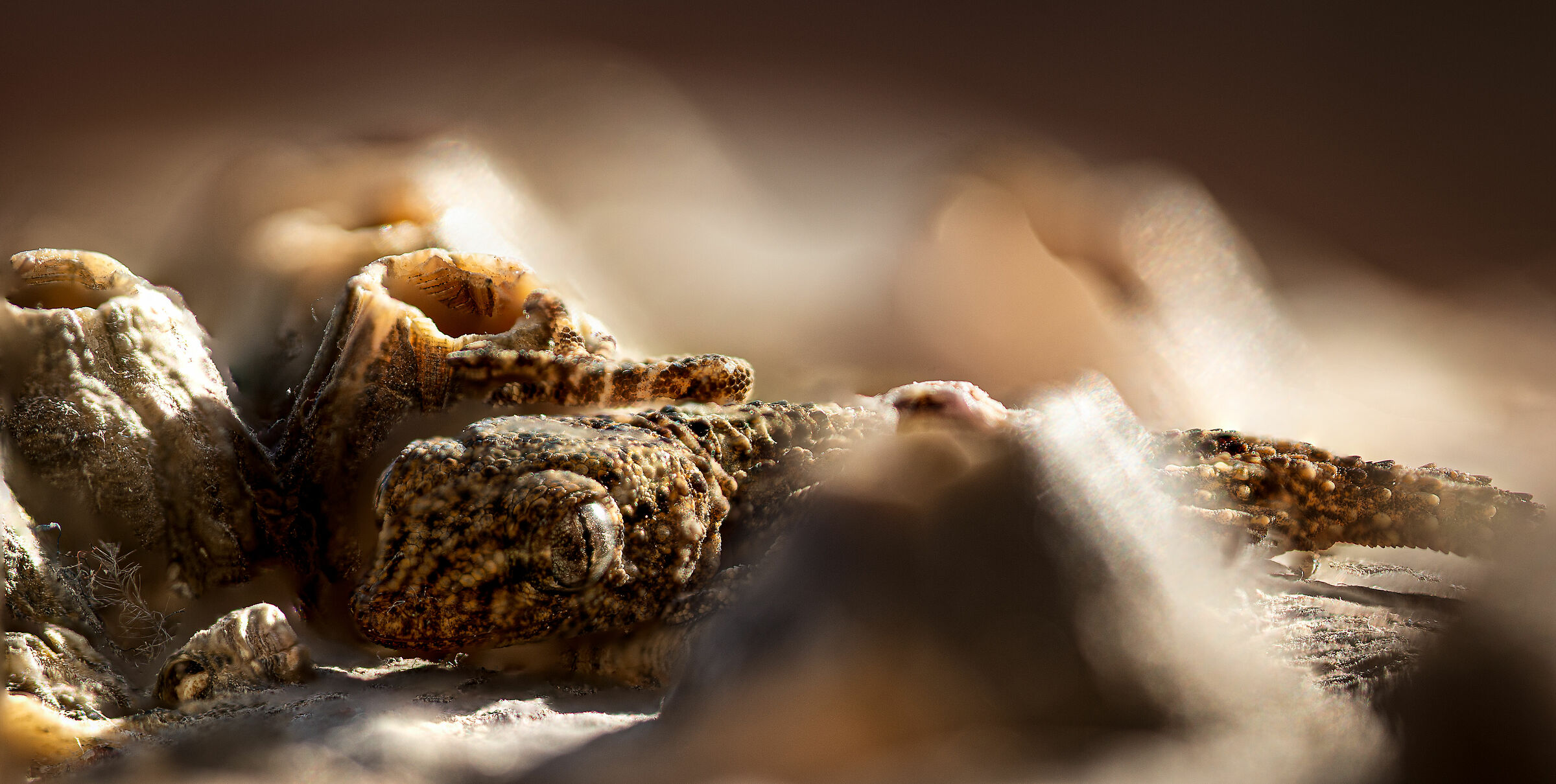 First Focus Stack Experiment