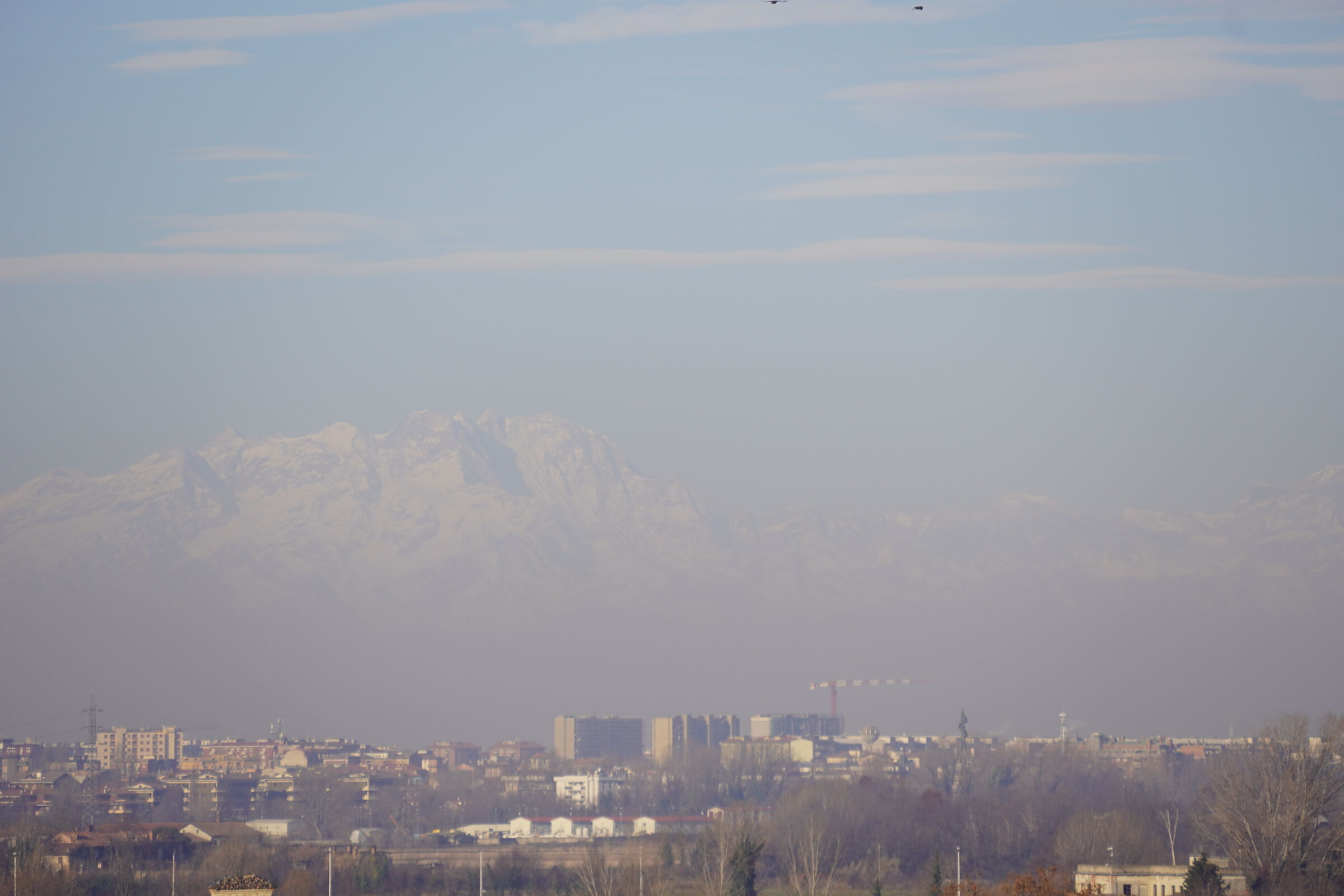 Natale-2024-Milano-Grattosoglio-Monte Rosa-