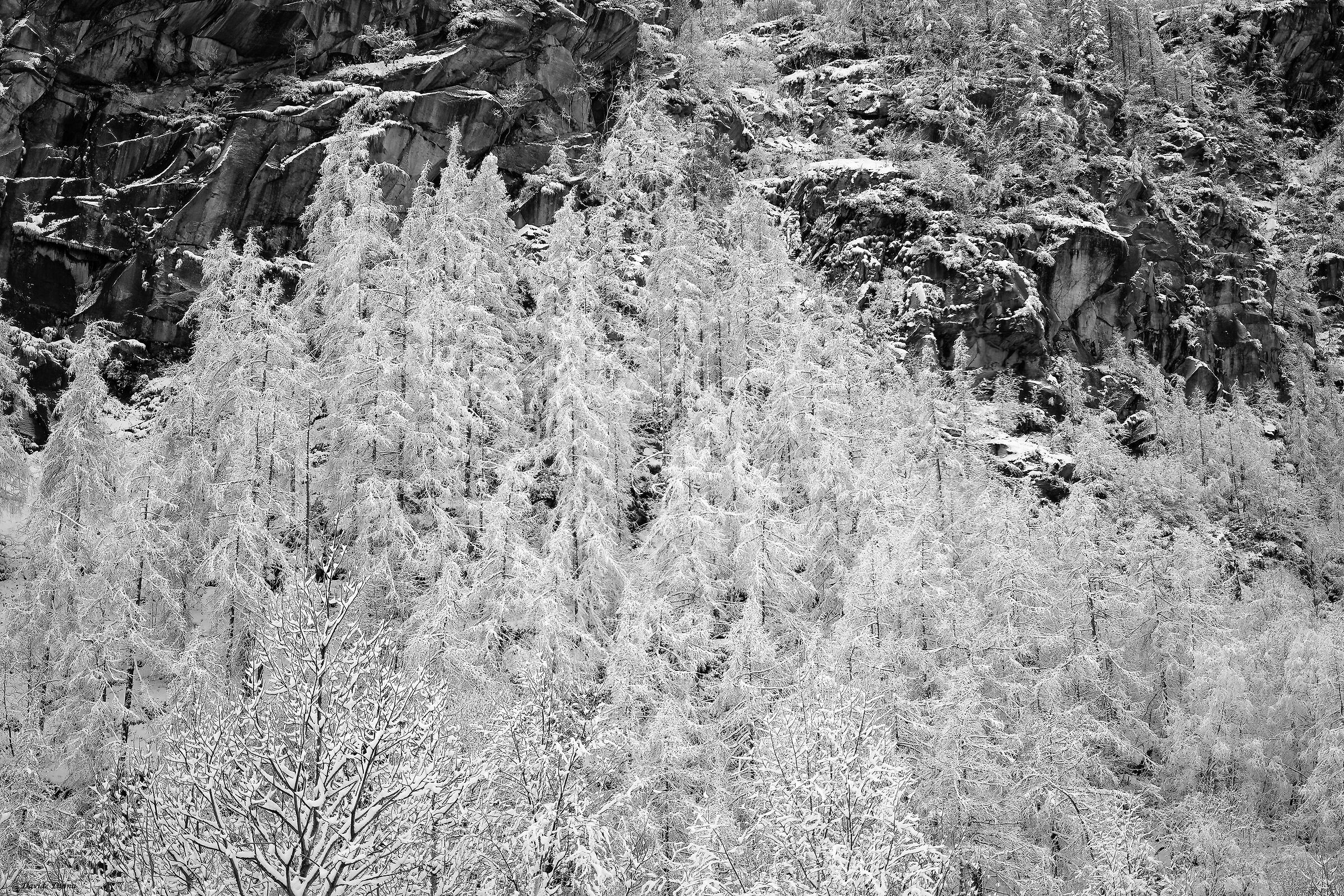 Gran Paradiso National Park - Piedmont