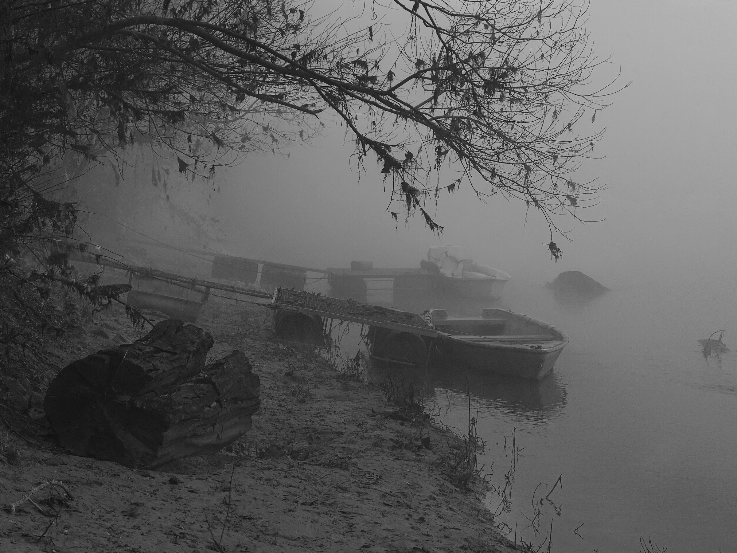 Nebbia in val Padana