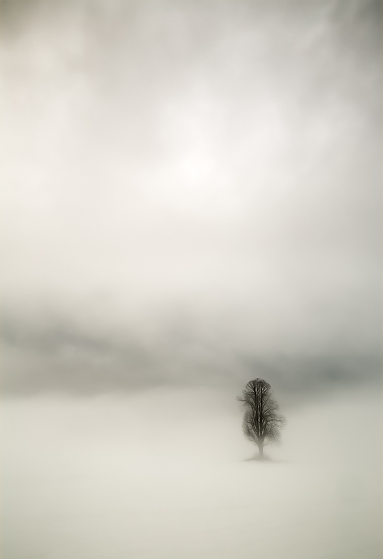 Sospeso fra neve e nebbia