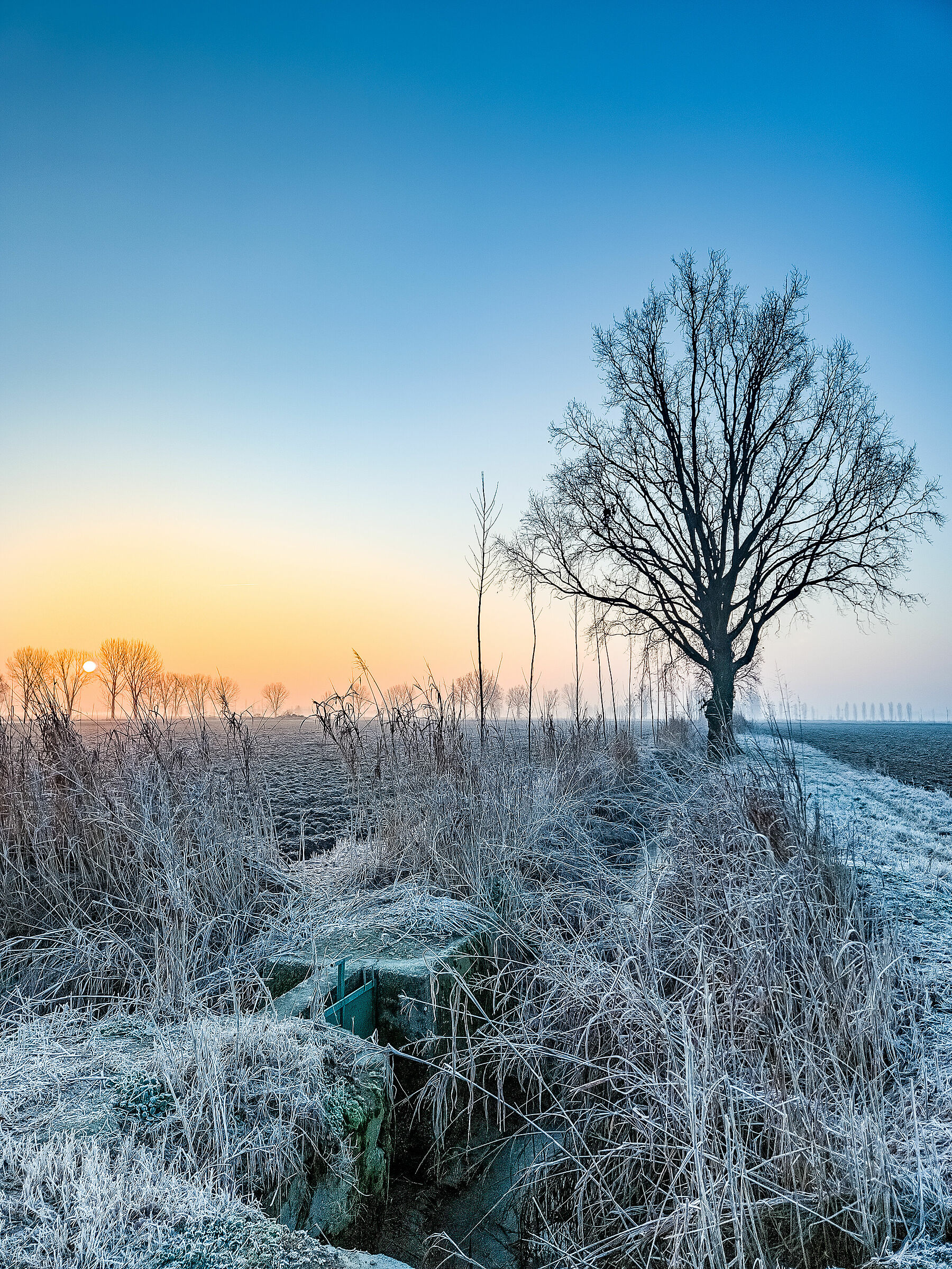 Cold weather in the Po Valley