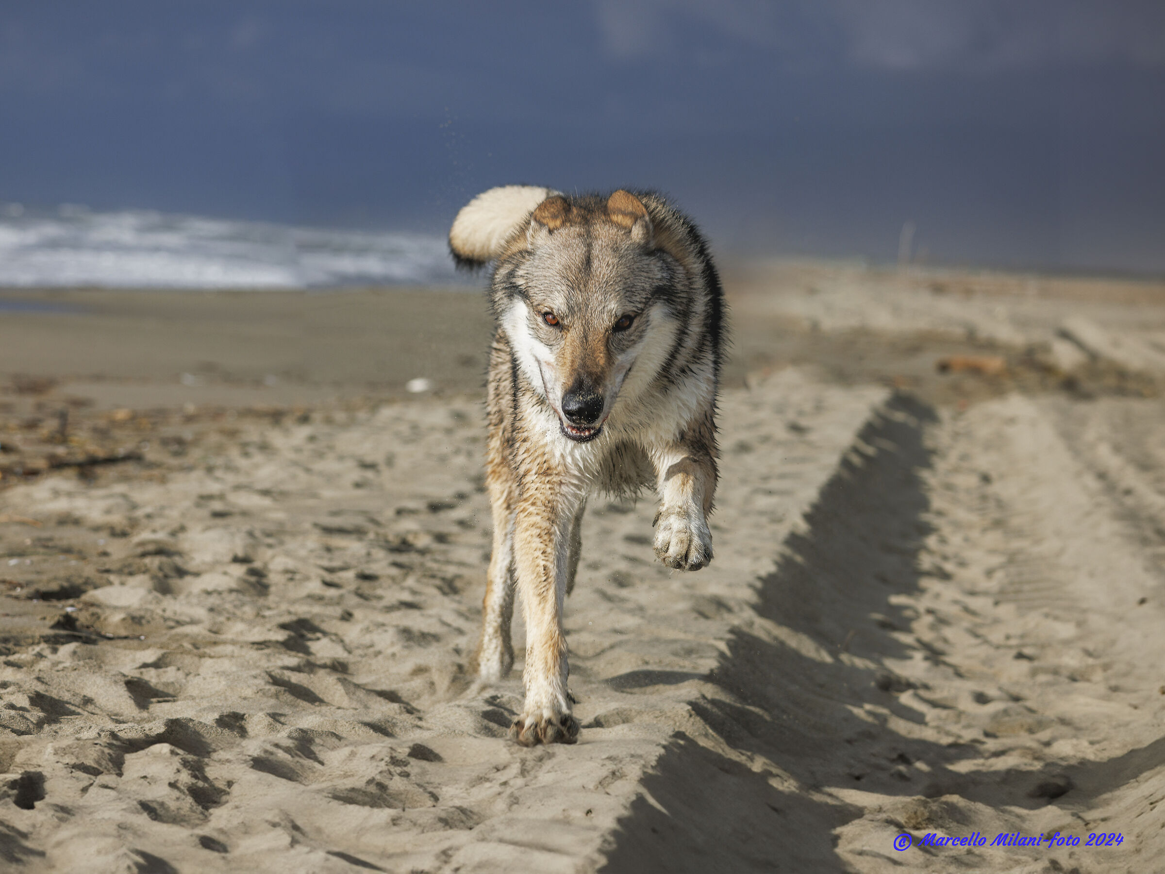 Jason : E chi lo ferma...