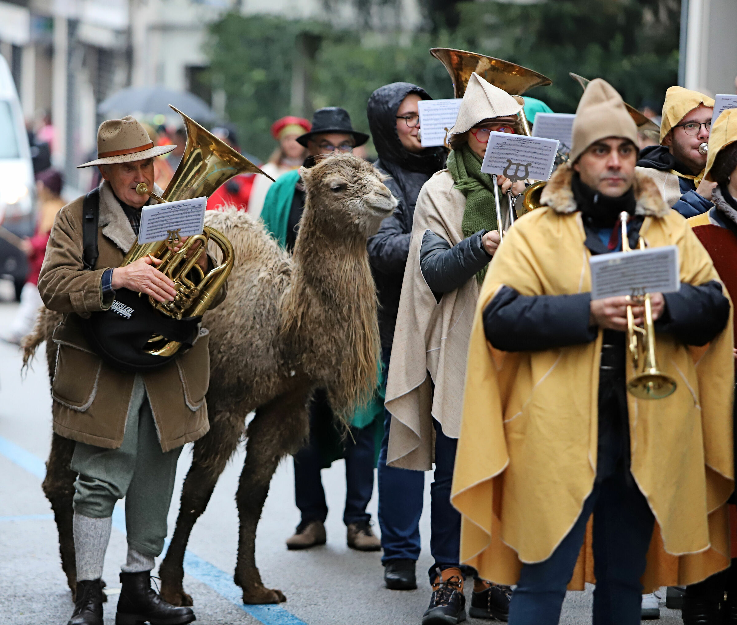 La musica affascina tutti....