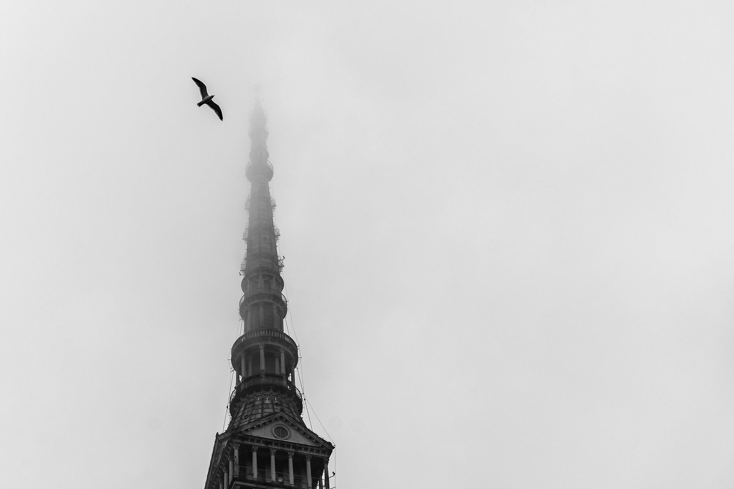 Flying over the Mole