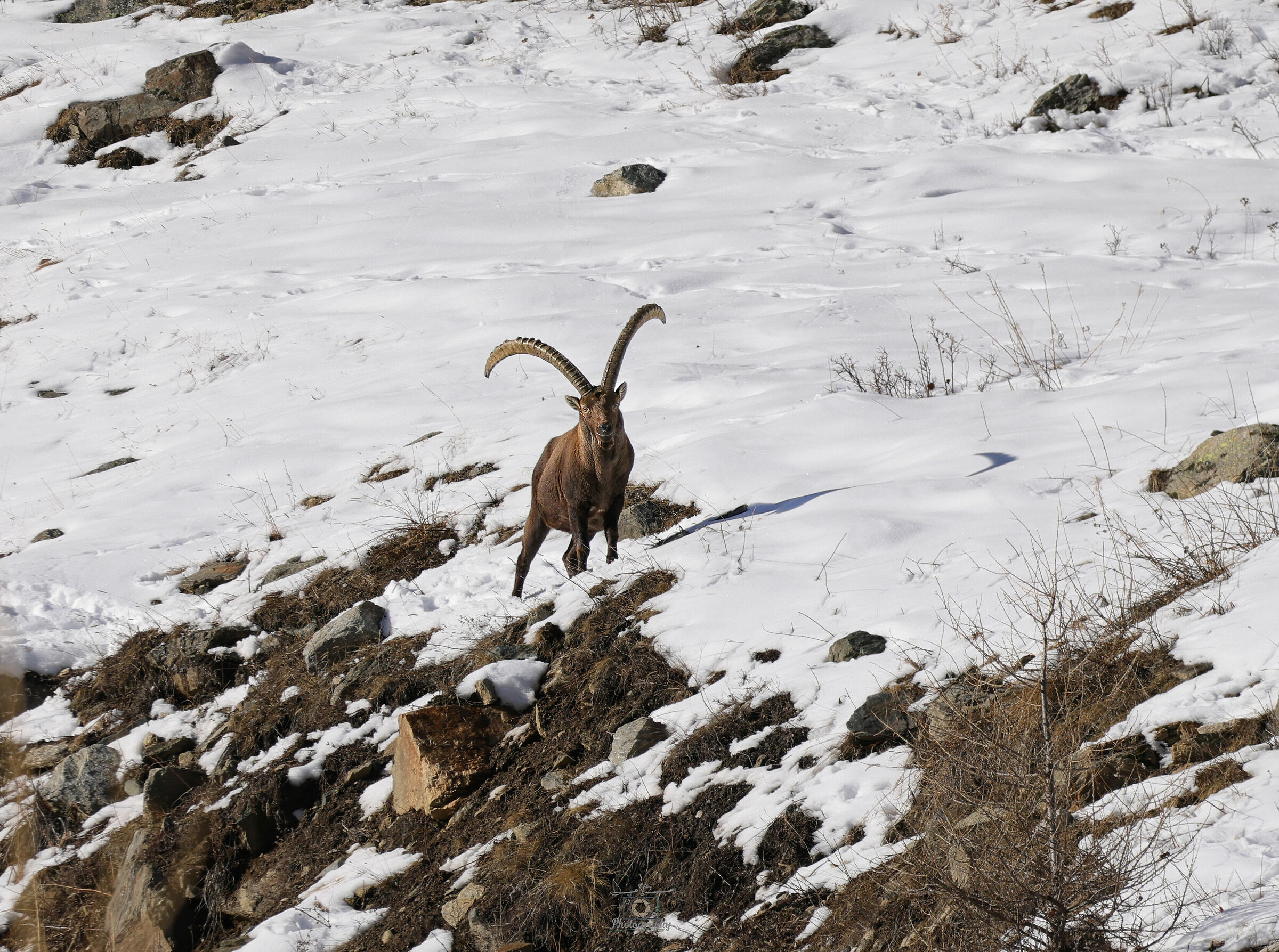 In silenzio nella natura