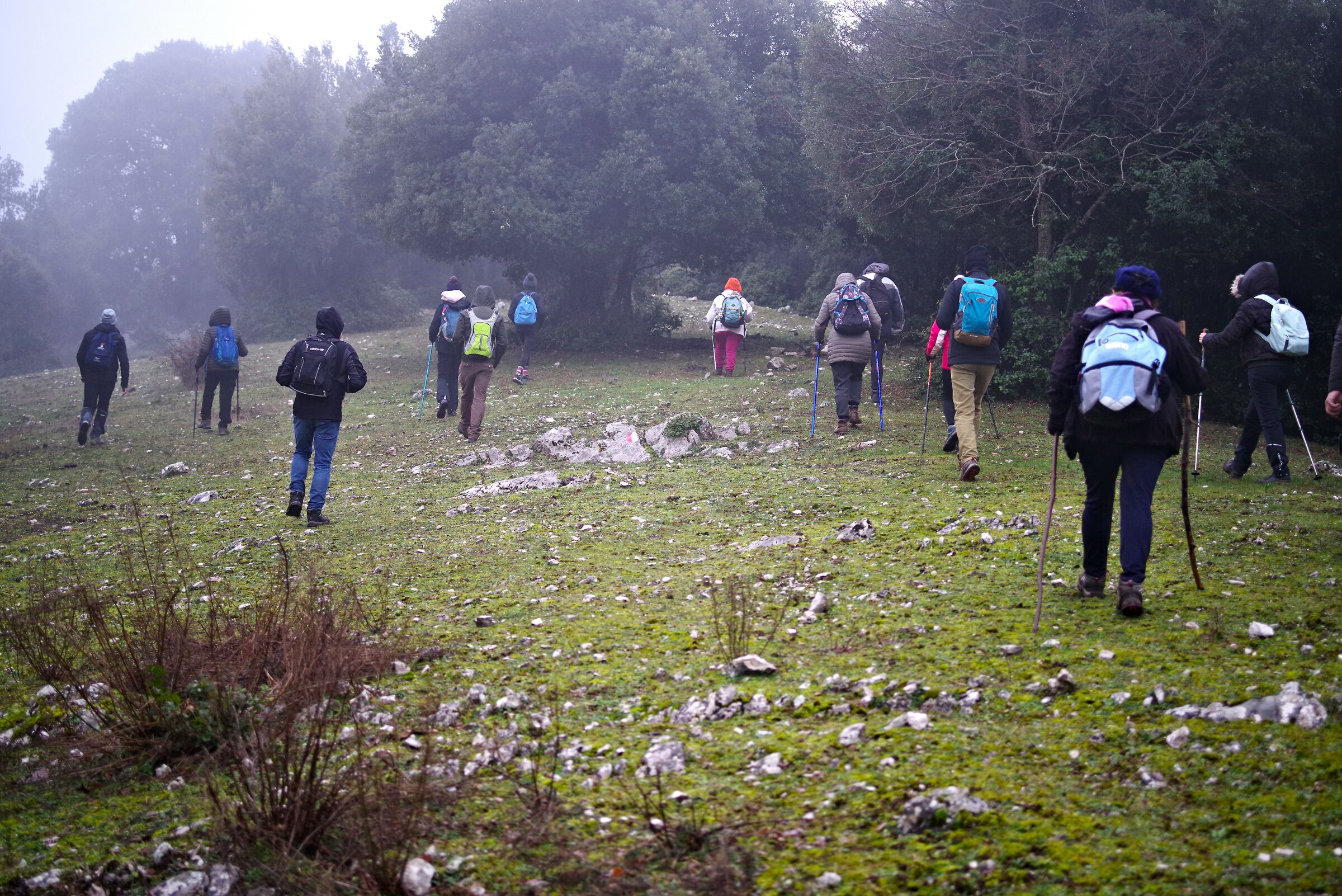 Bosco della Semprevisa (Latina)