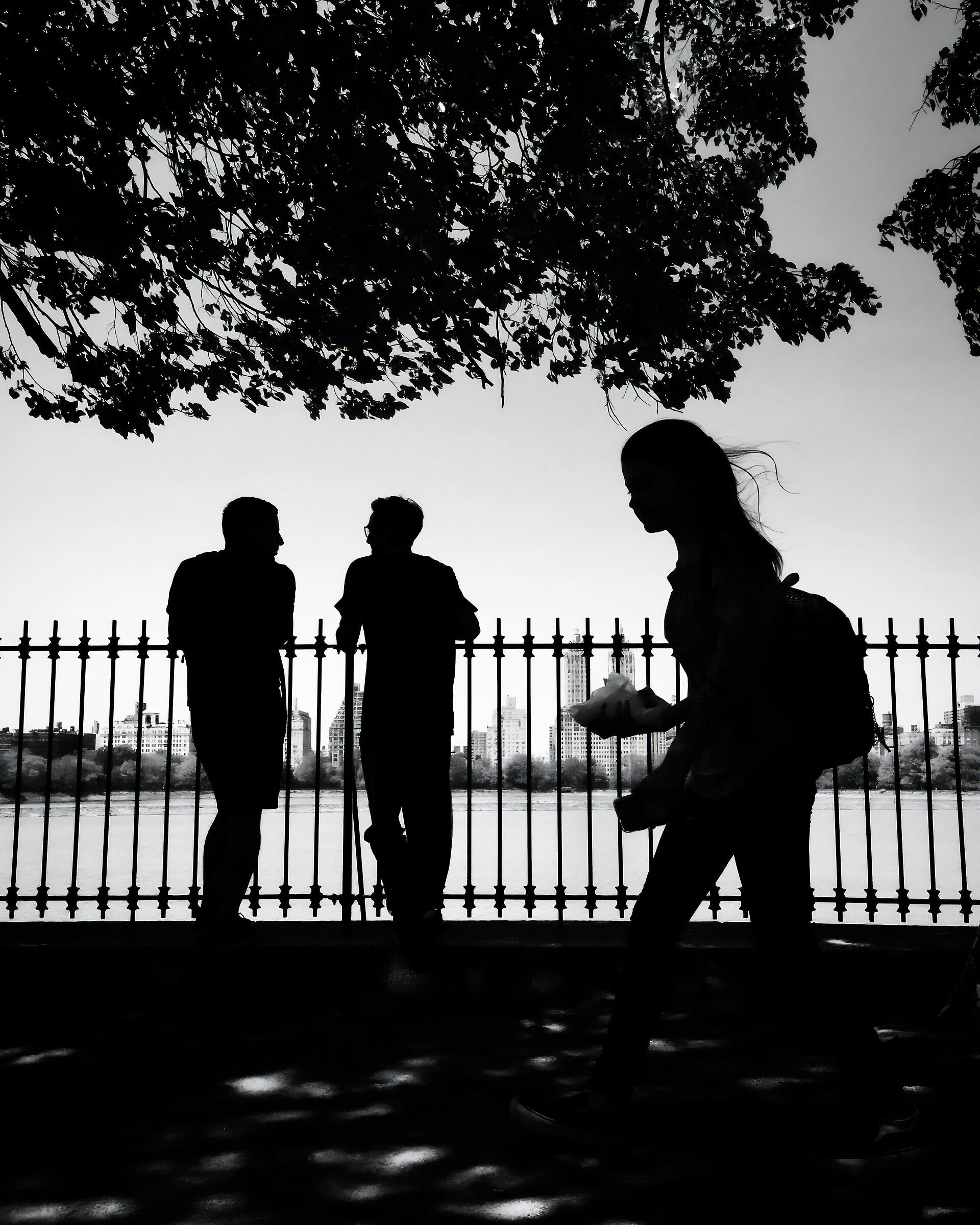 Connection - Central Park NY 2016