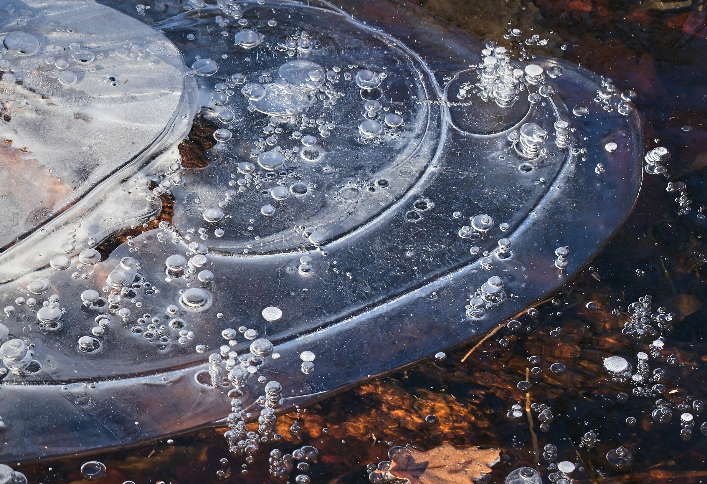 Dettaglio Ghiacciato