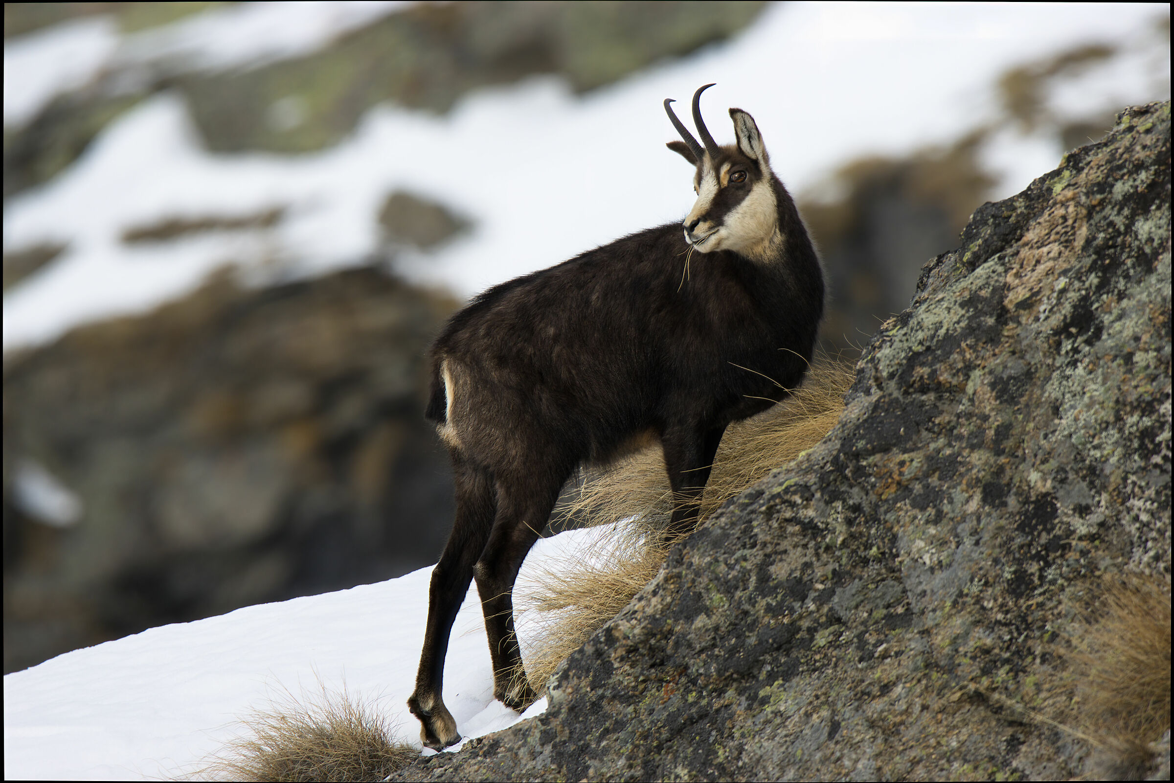 On the ridge