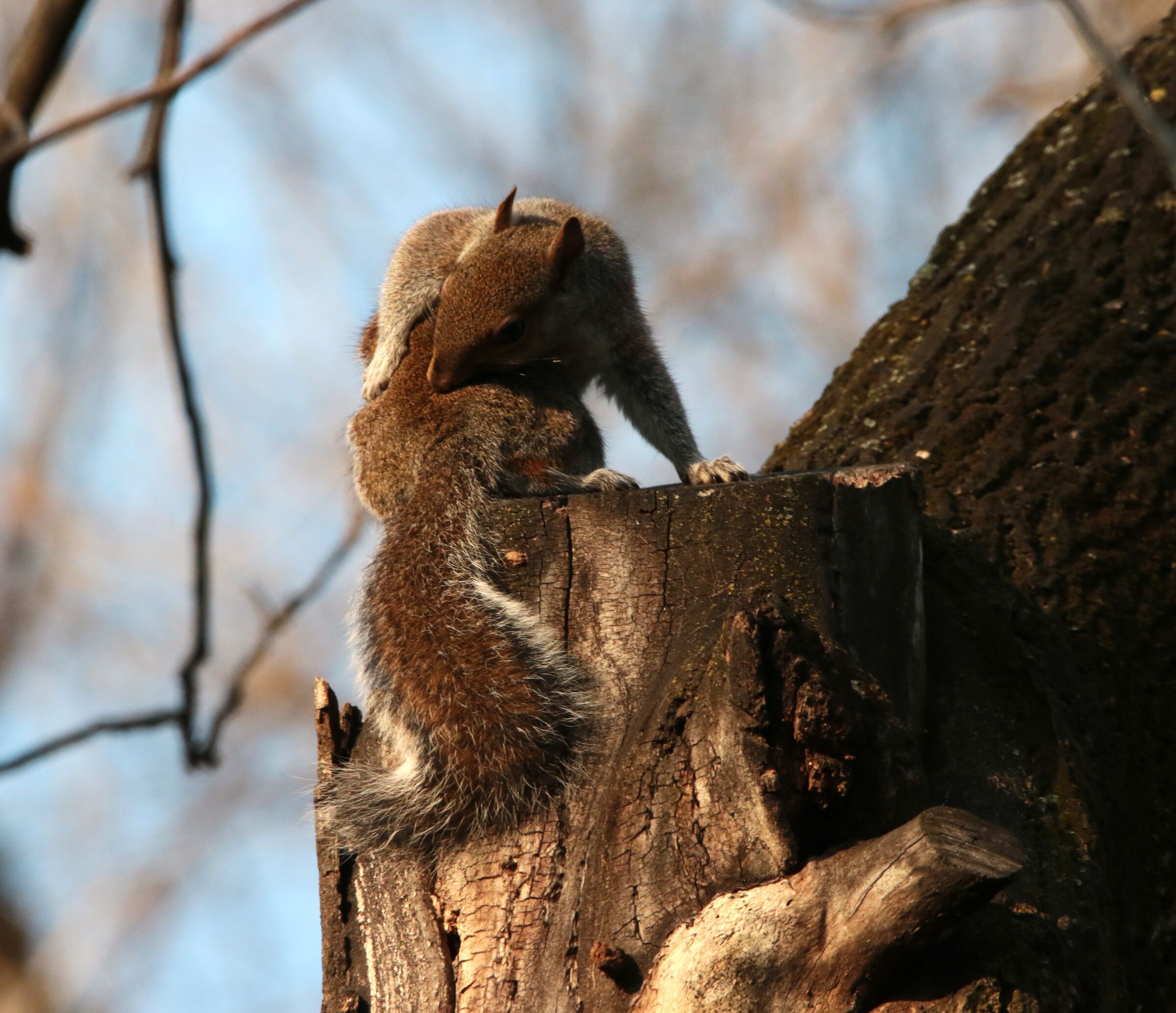 Morning housekeeping
