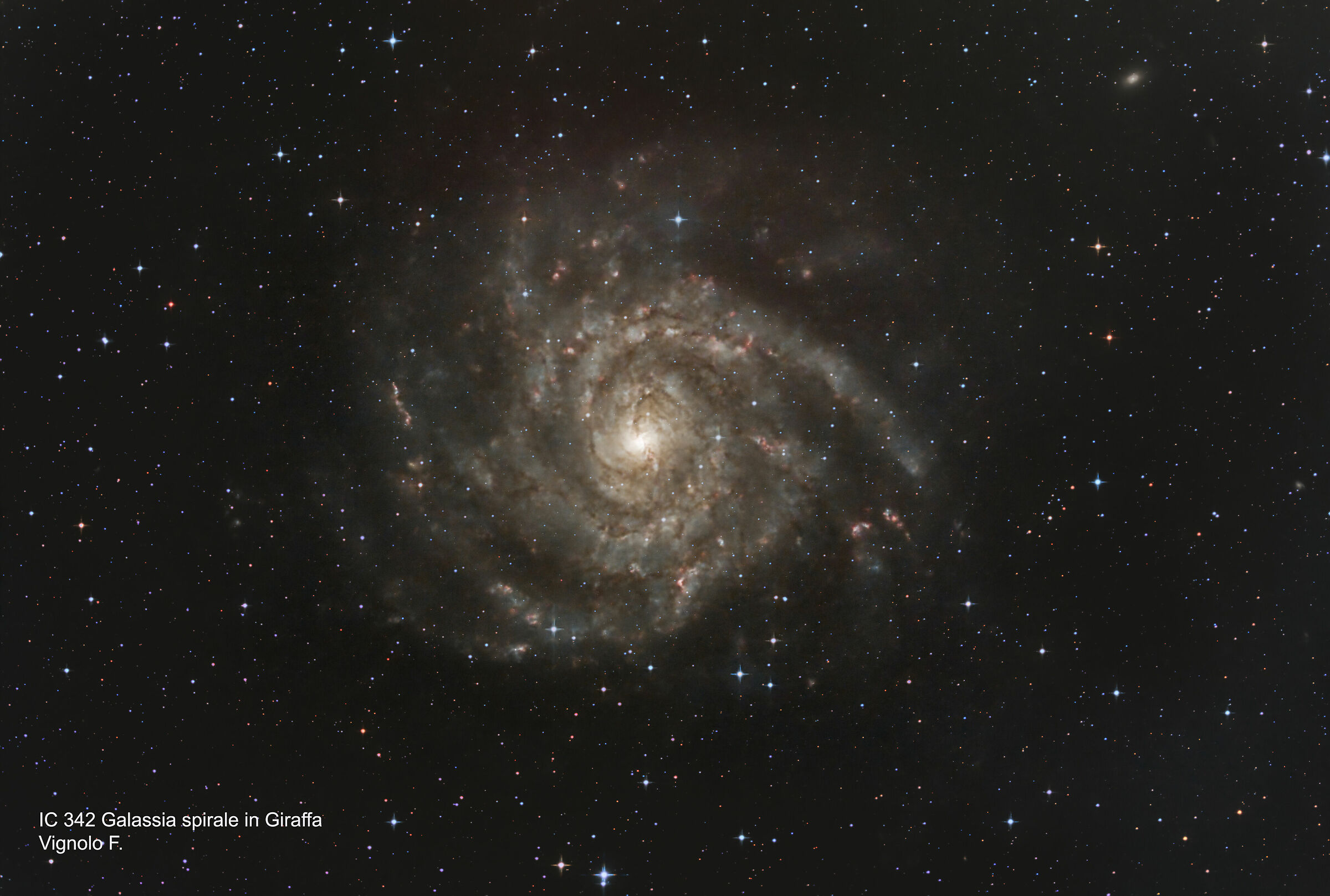 ic342 Galassia spirale in Giraffa
