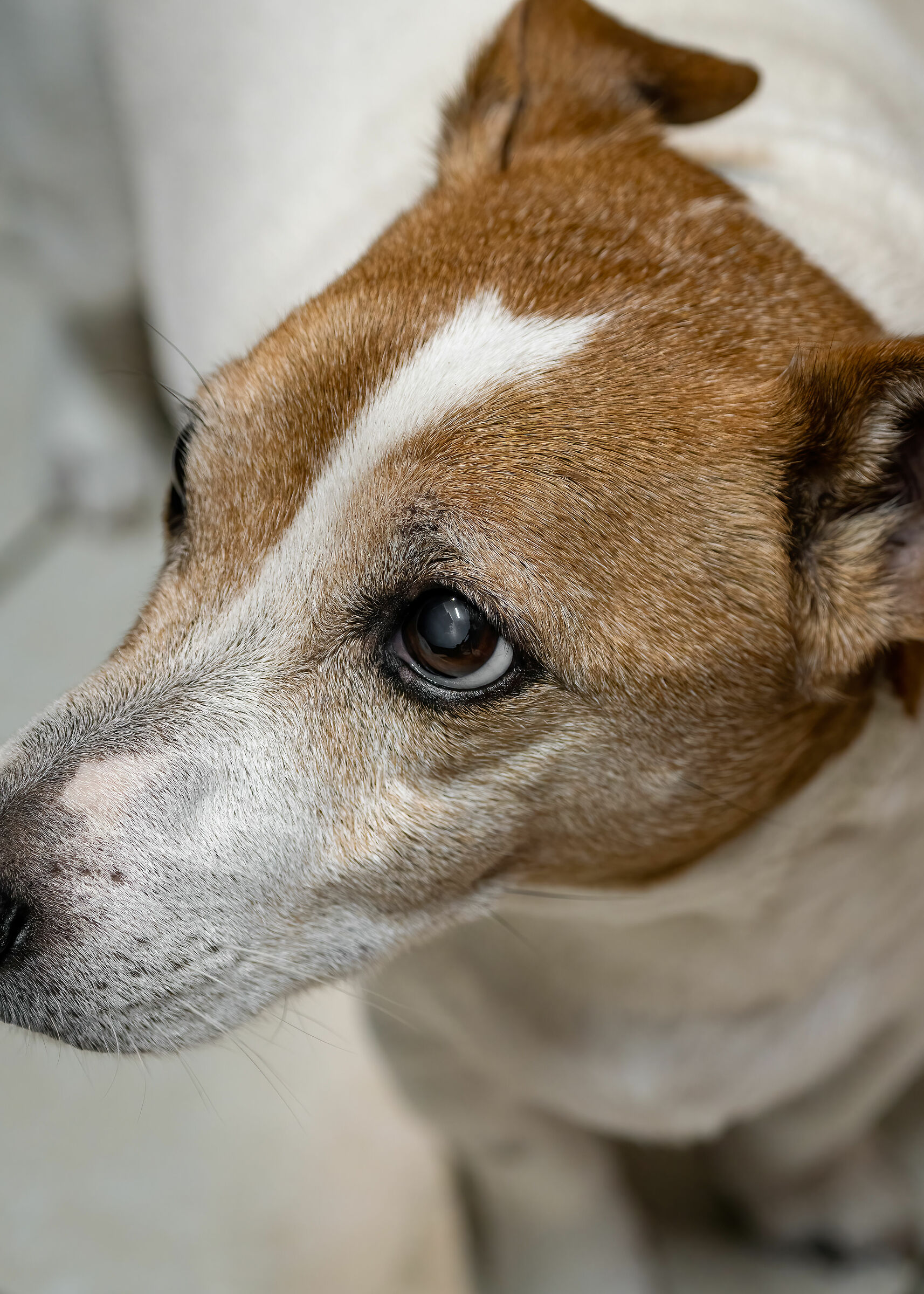 Test 70-200 Macro