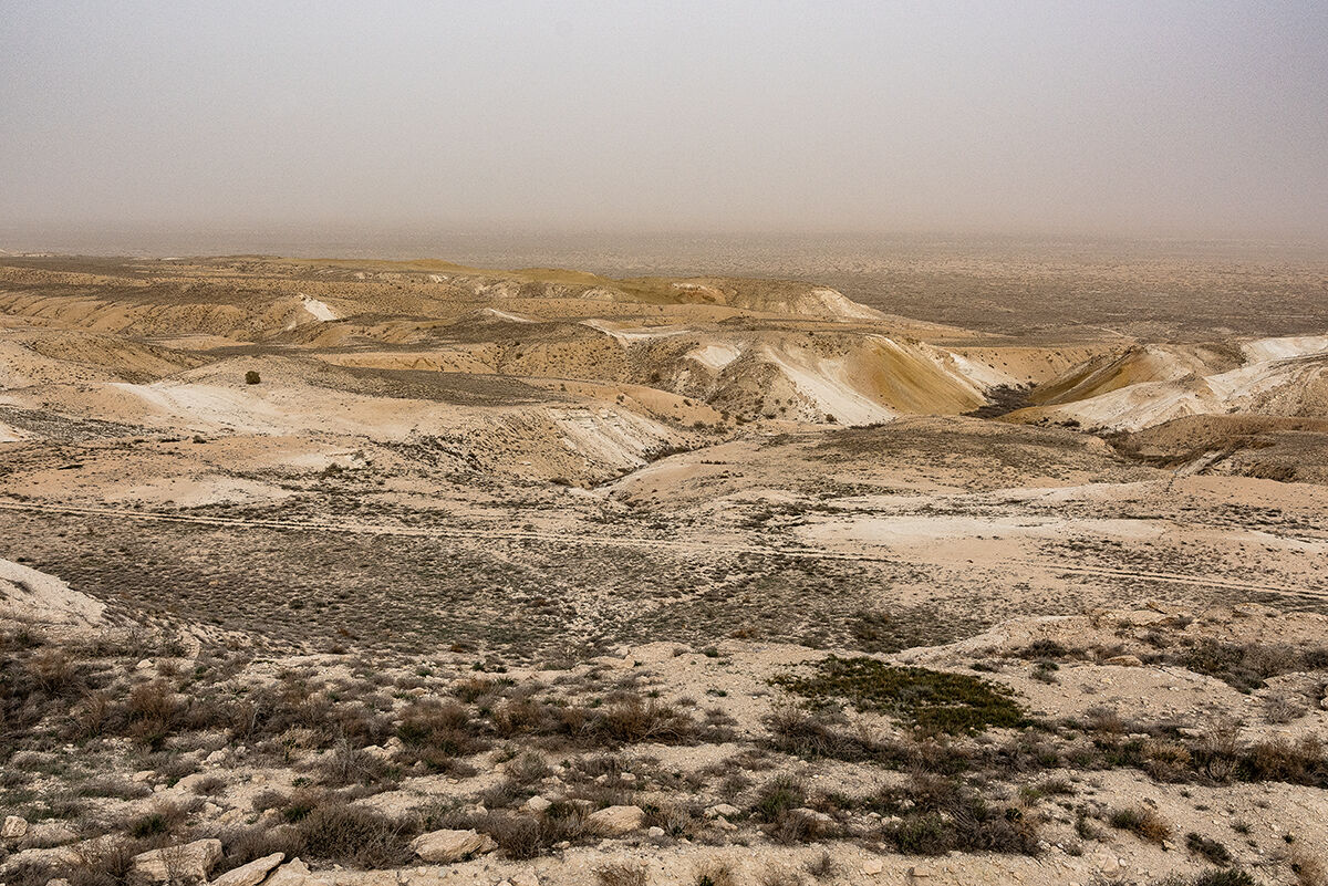 kilometri alla ricerca del mare