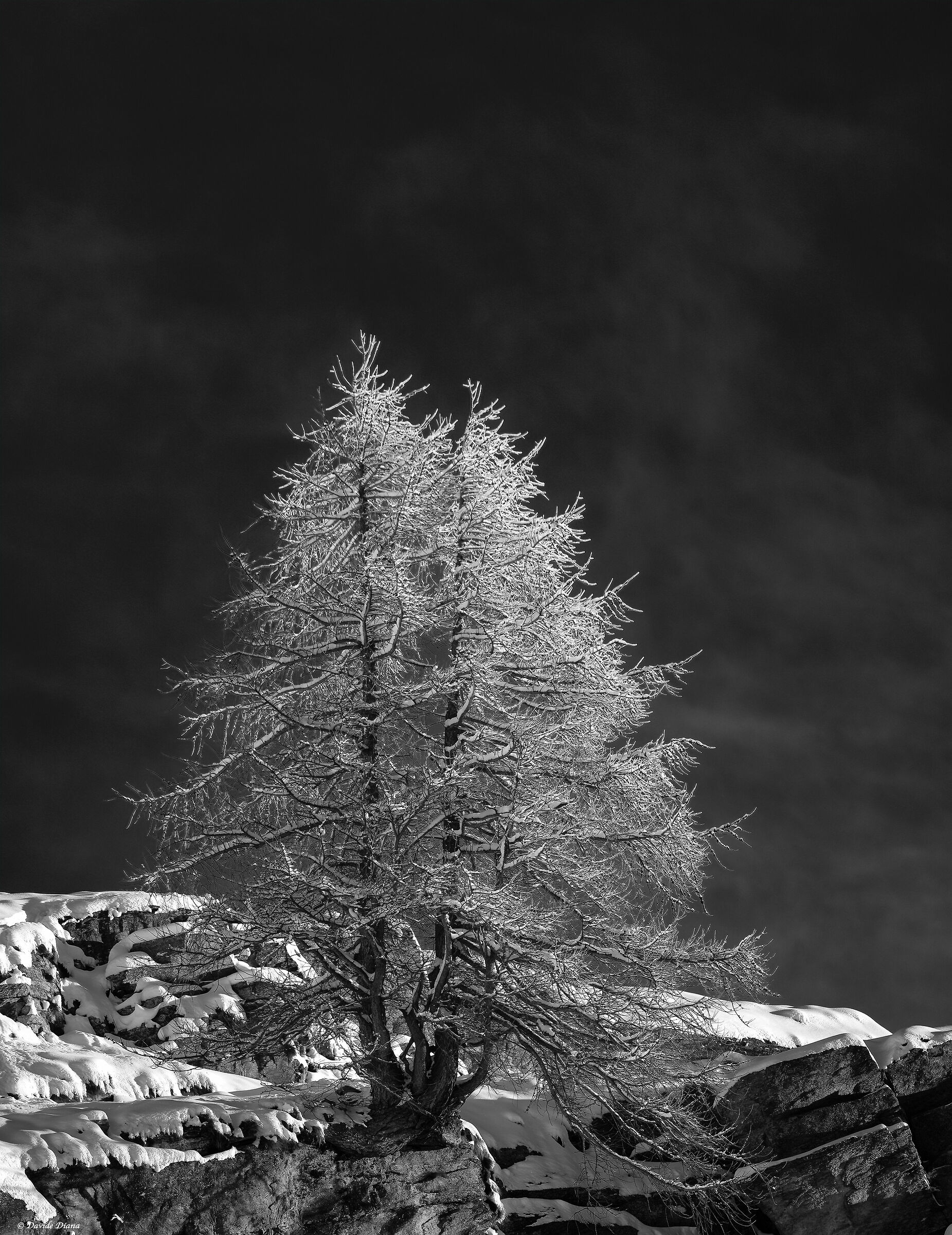 Gran Paradiso National Park - Piedmont