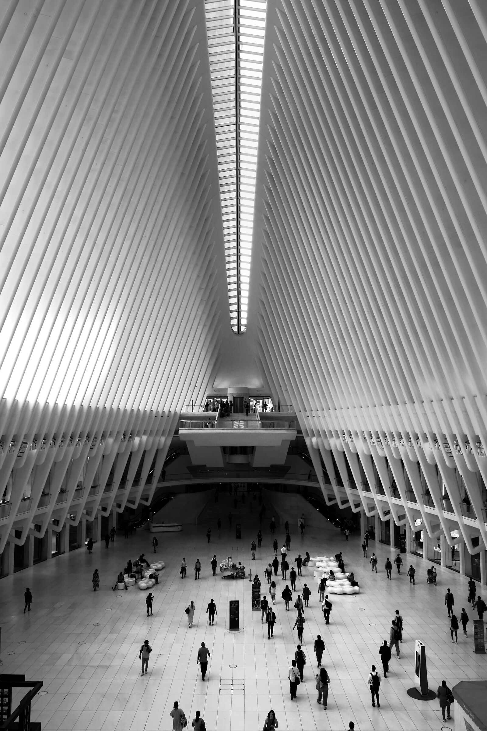 Oculus,NYC