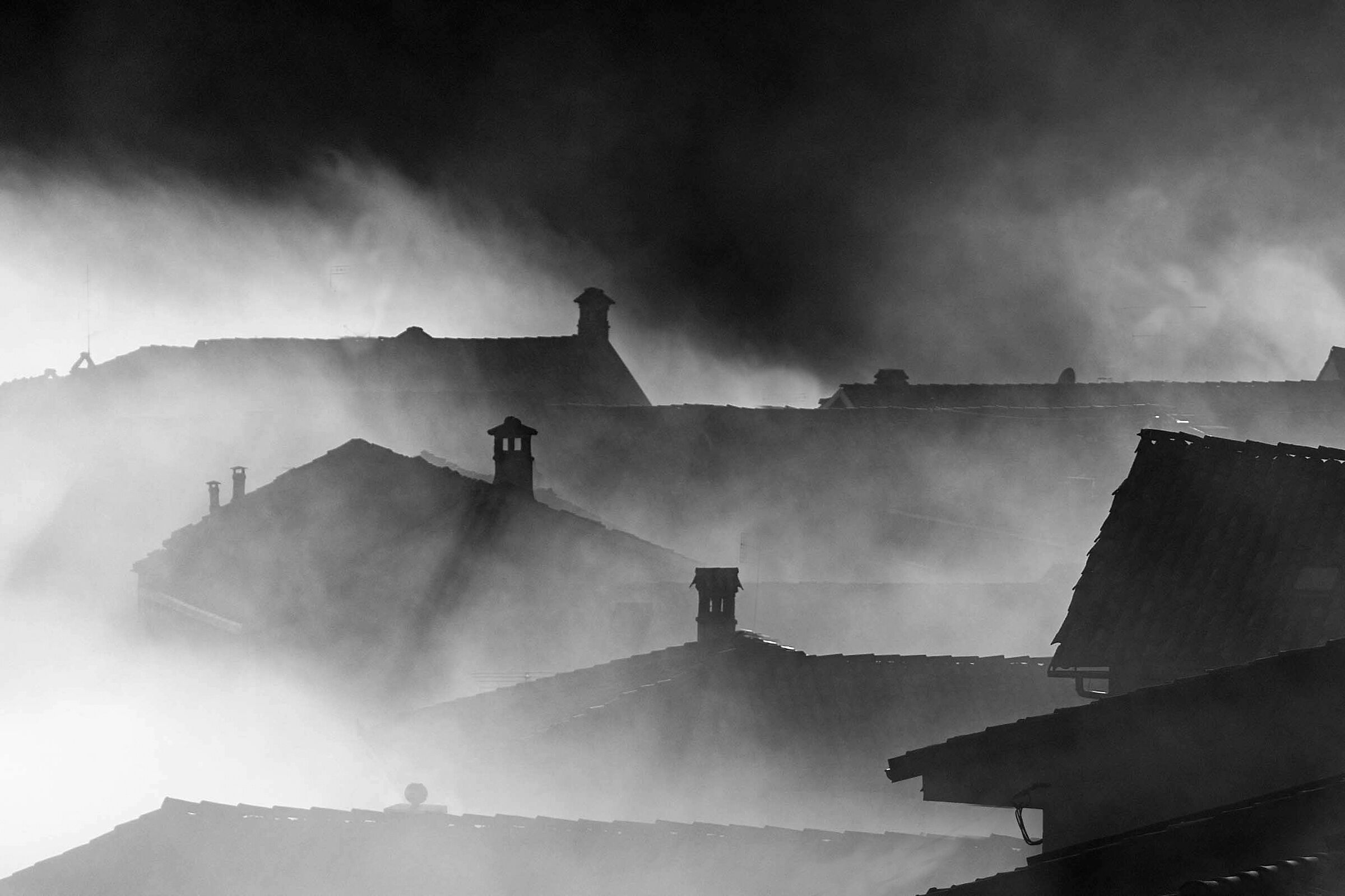 Roofs in the fog
