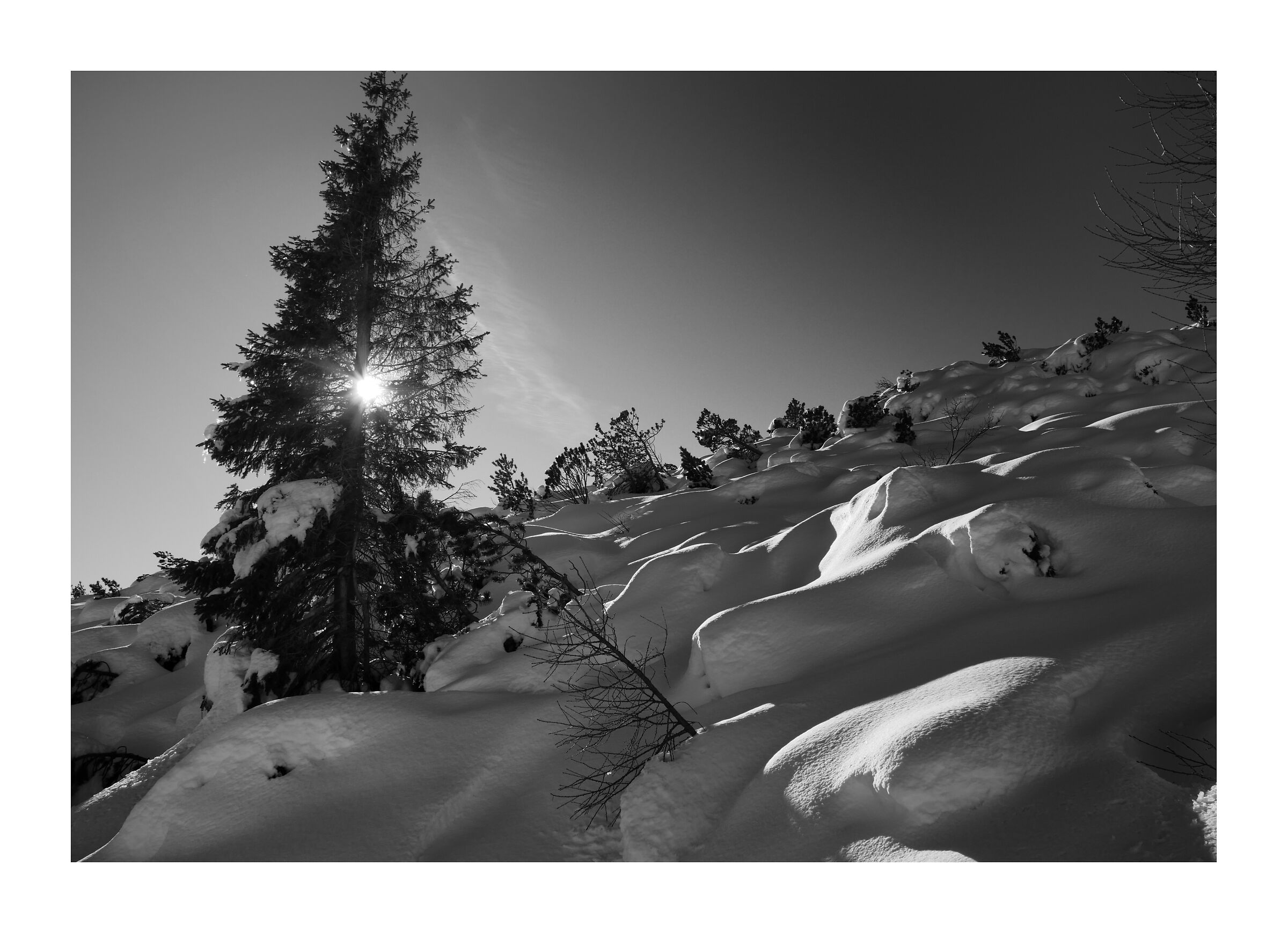 Asiago Plateau