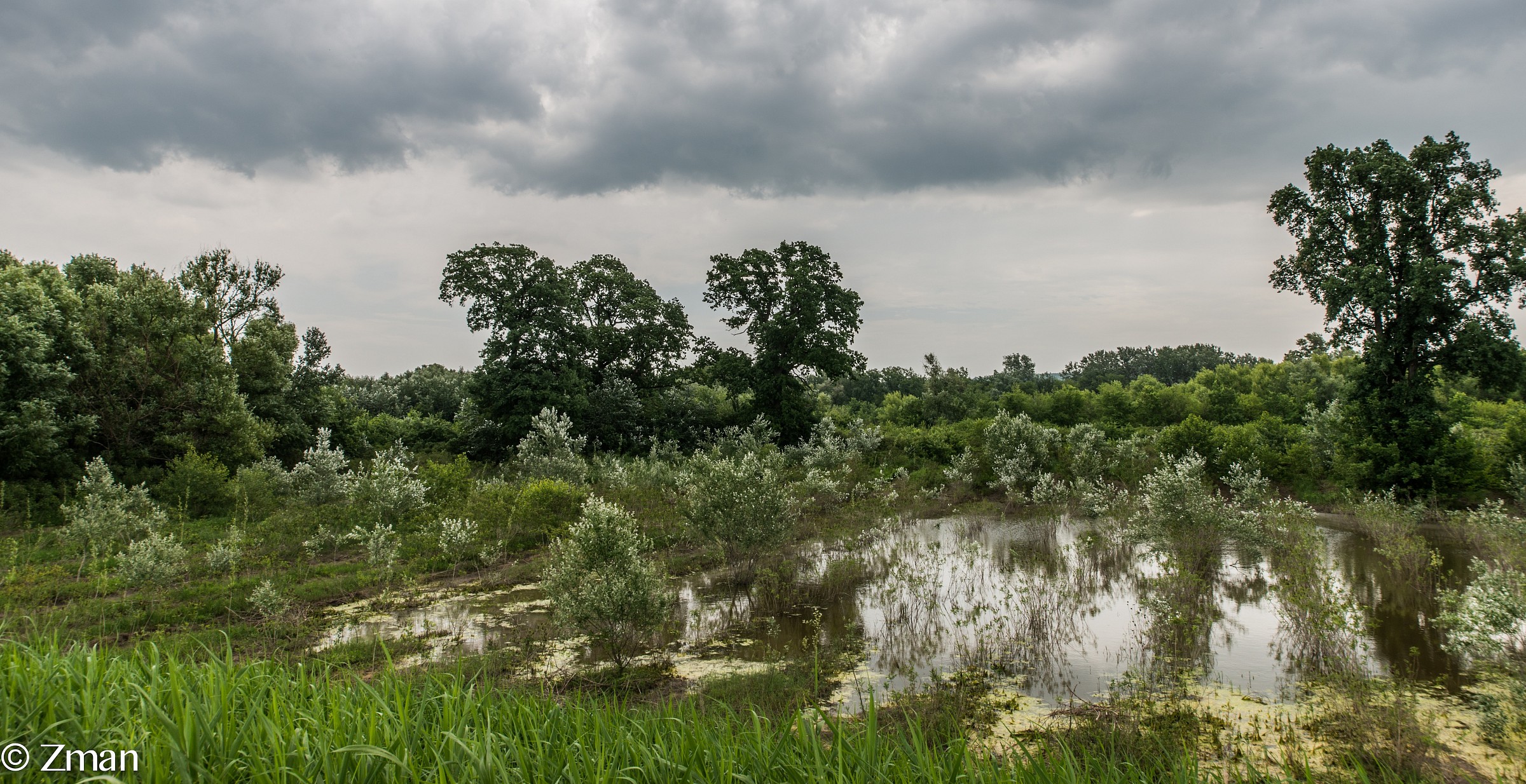 Danube Flooding