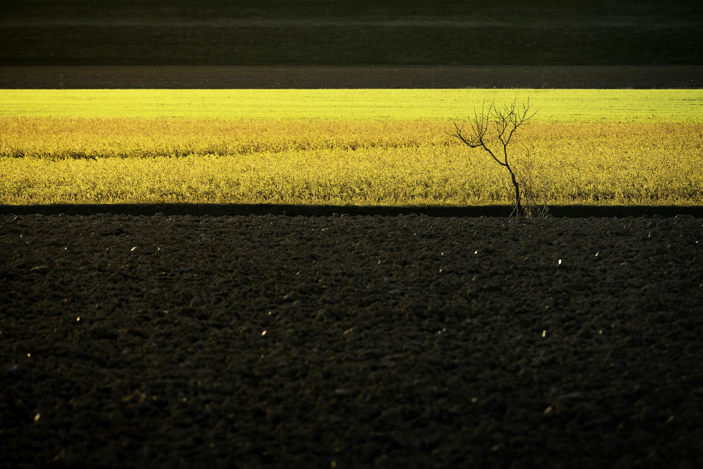 Una passeggiata dietro casa