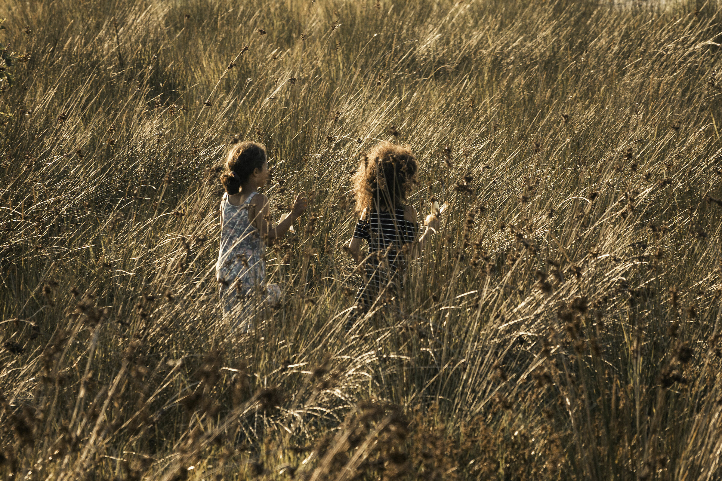 Children and summer