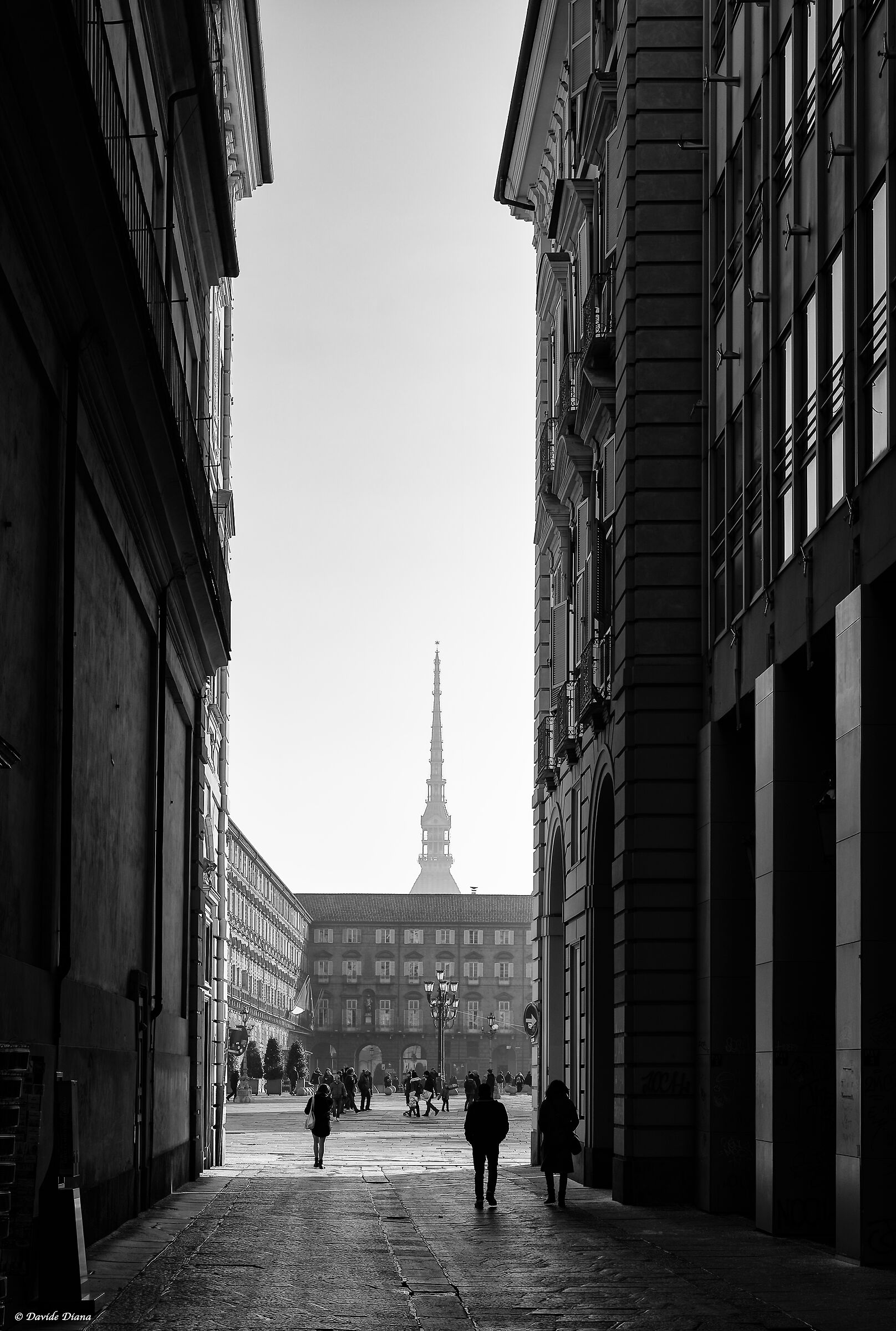 Torino Monochrome