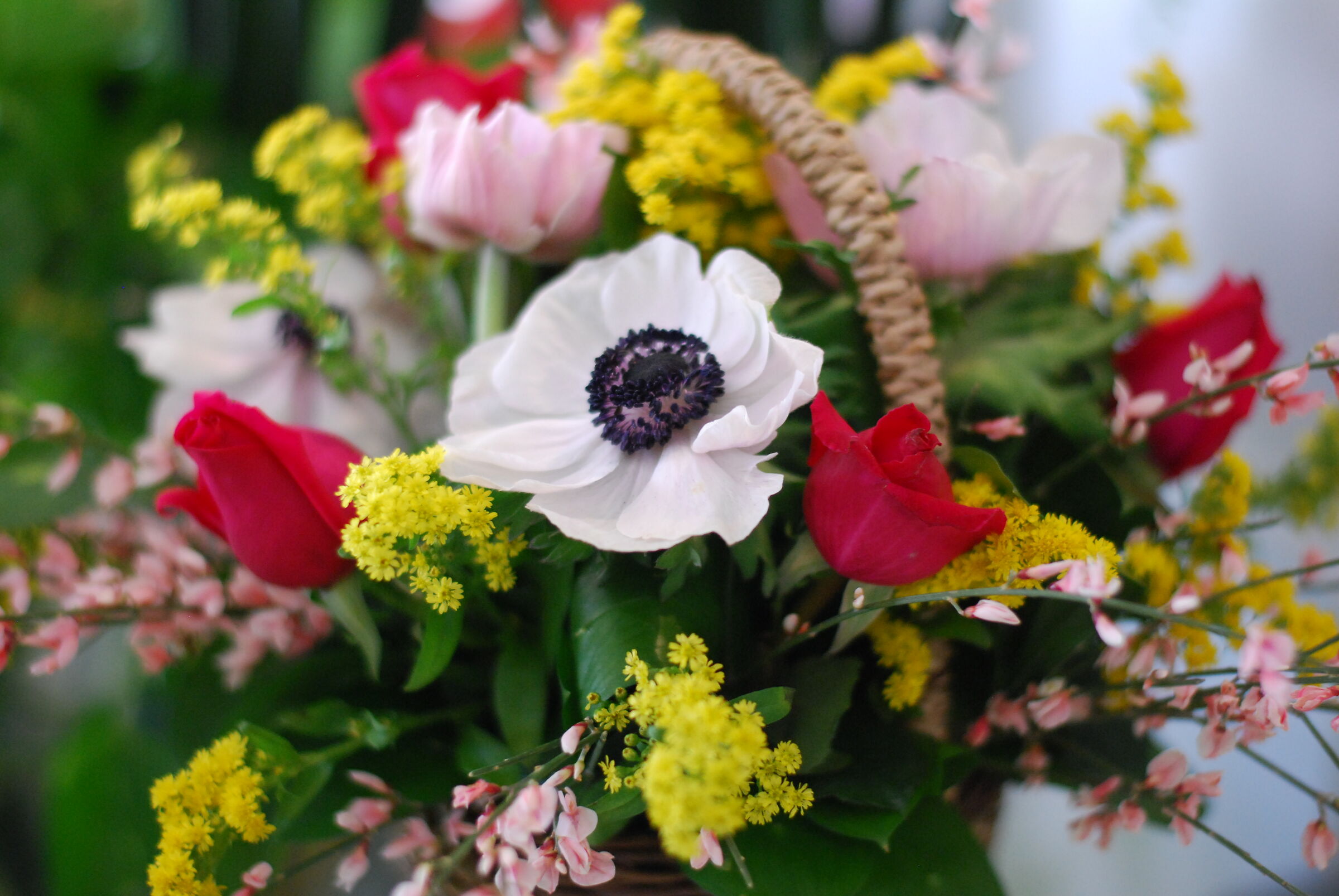 January Flowers