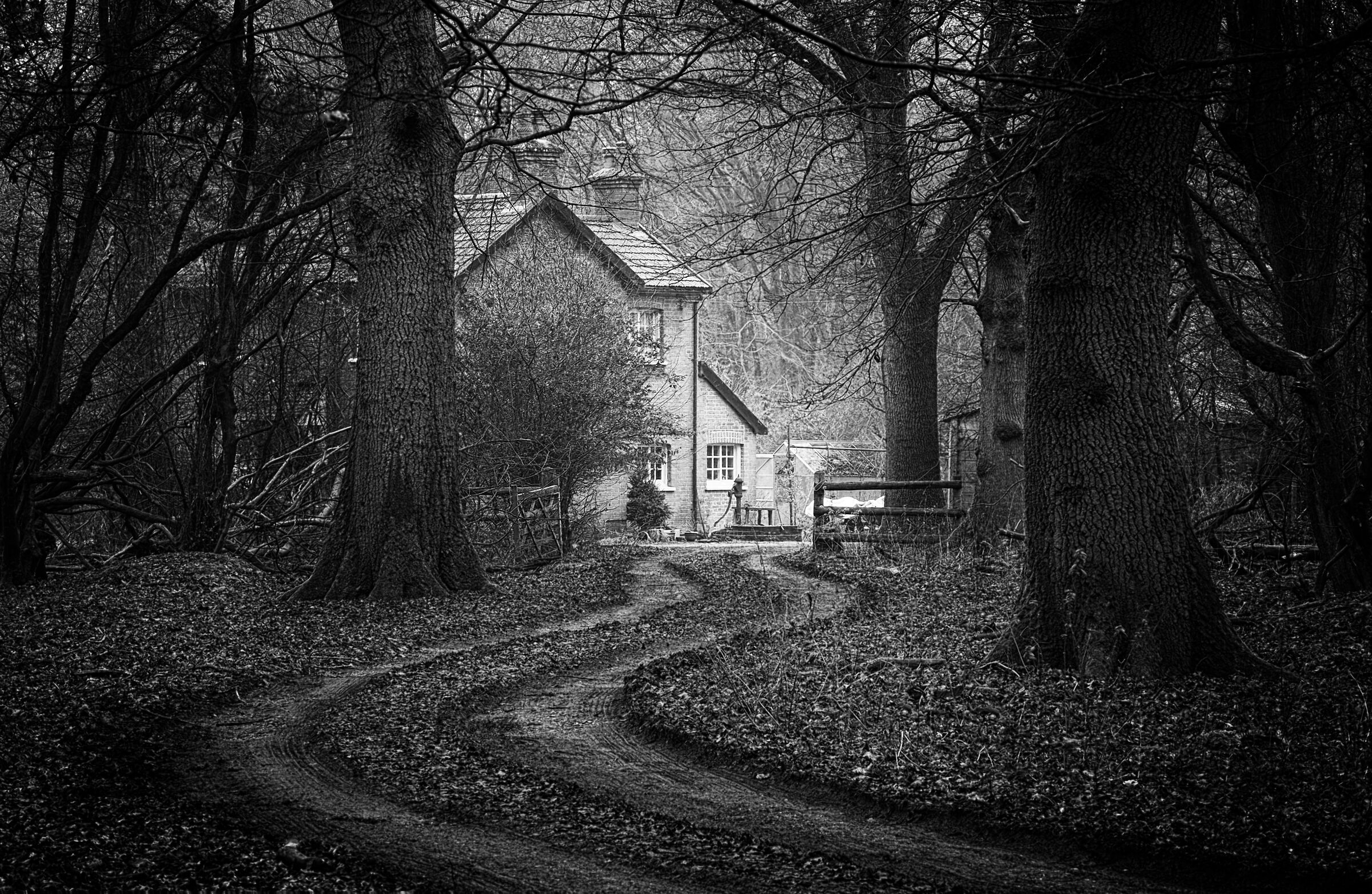 Casa nel profondo della foresta