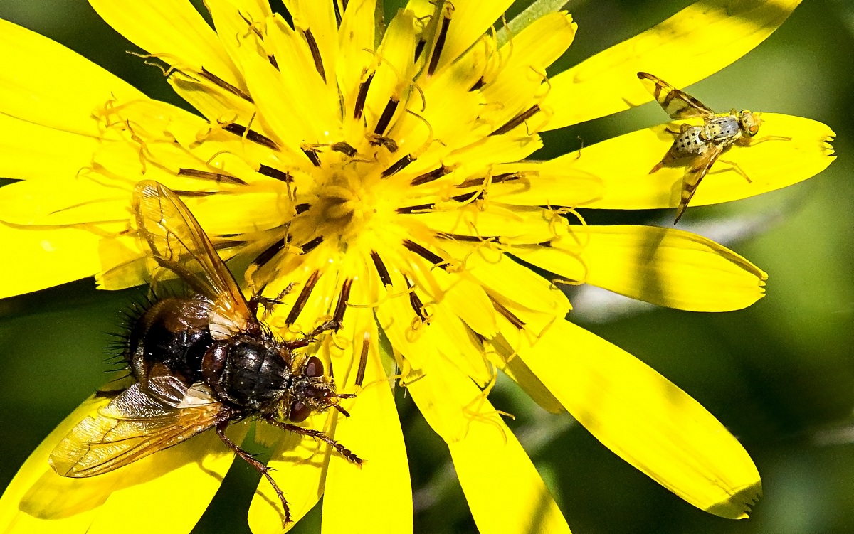 madre e figlio, ma'?????????
