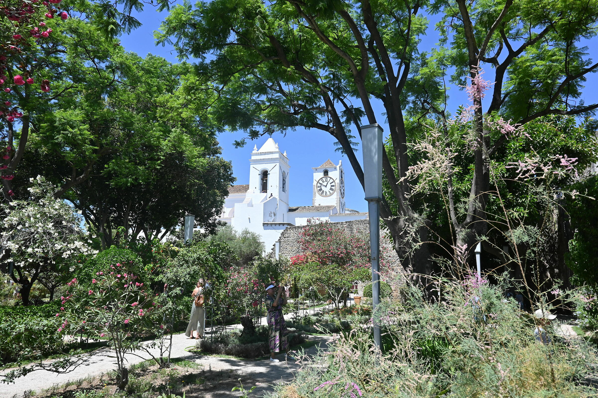 Tavira Garden