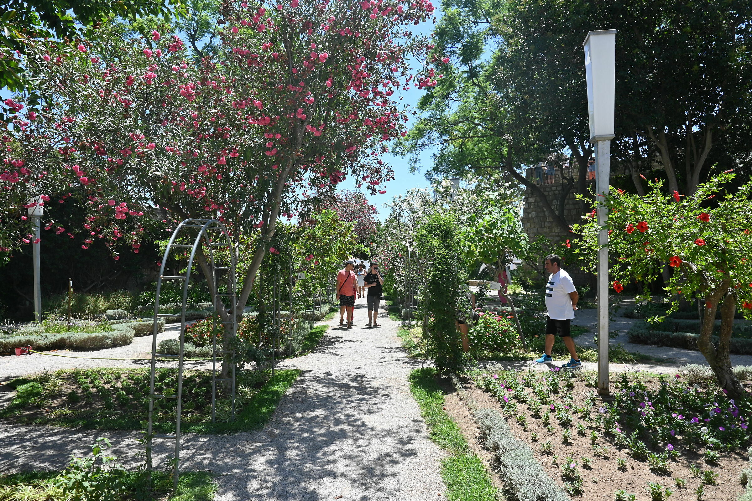 Tavira Garden