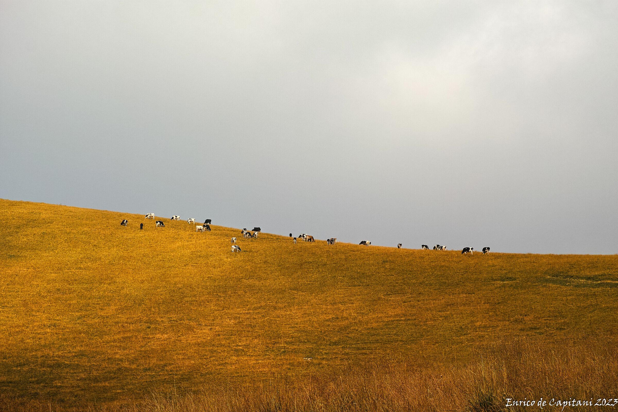 Una sottile linea (Lessinia Minimal)