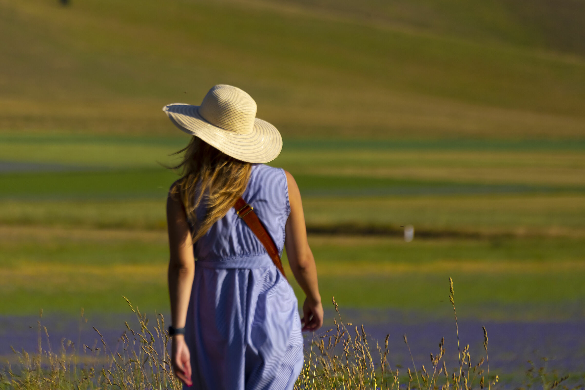 Walking among the lentils