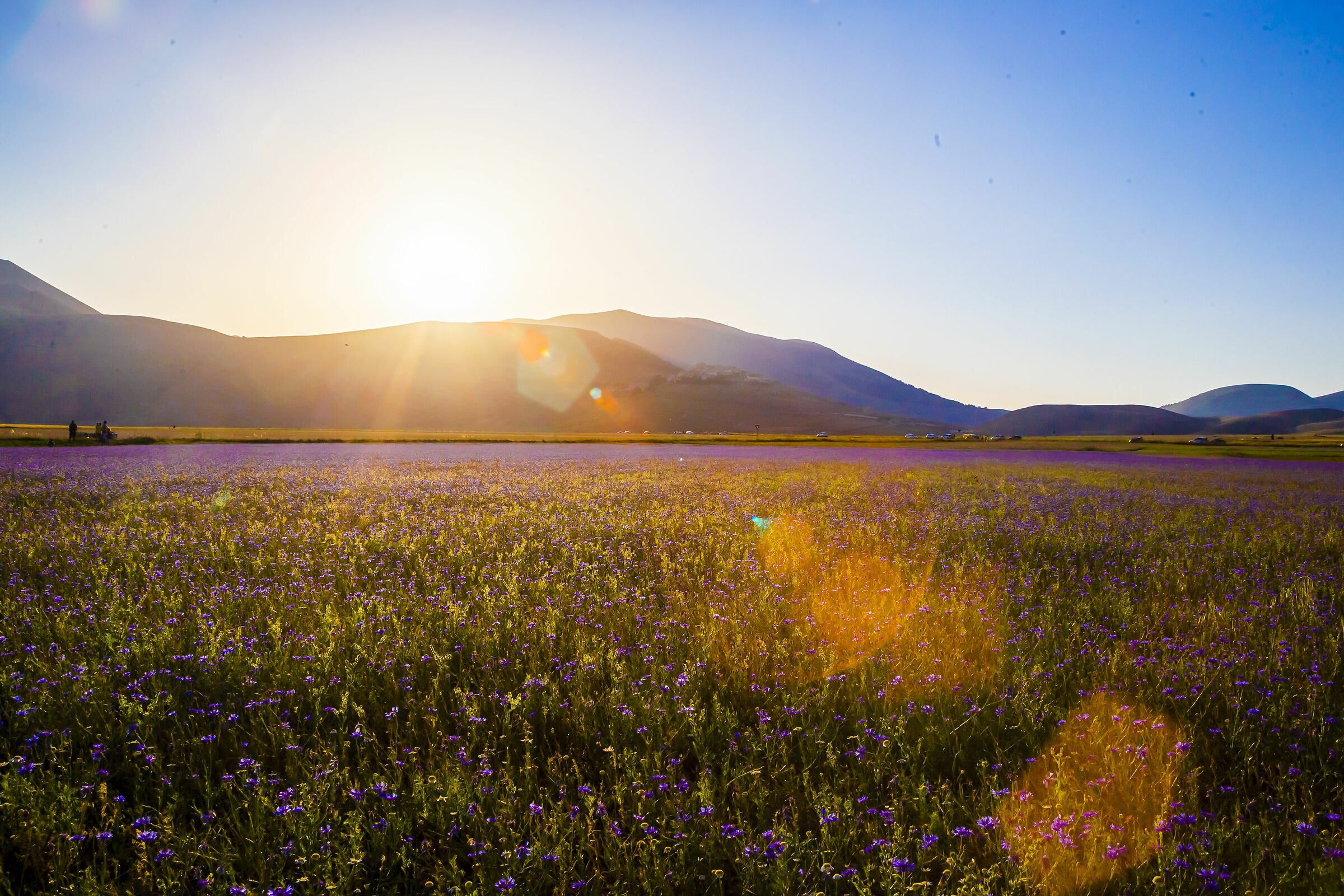 Castelluccio