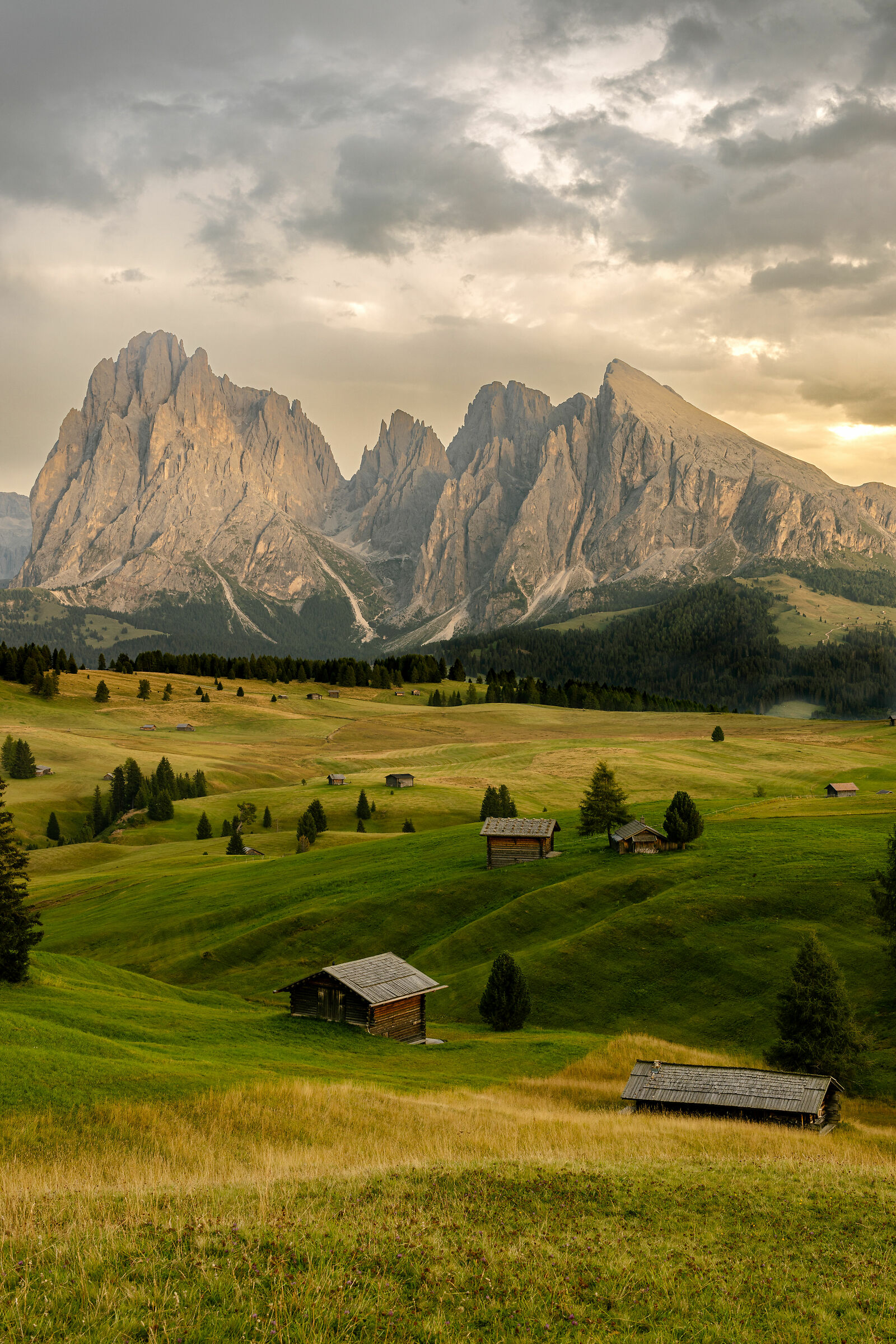 Alpe di Siusi
