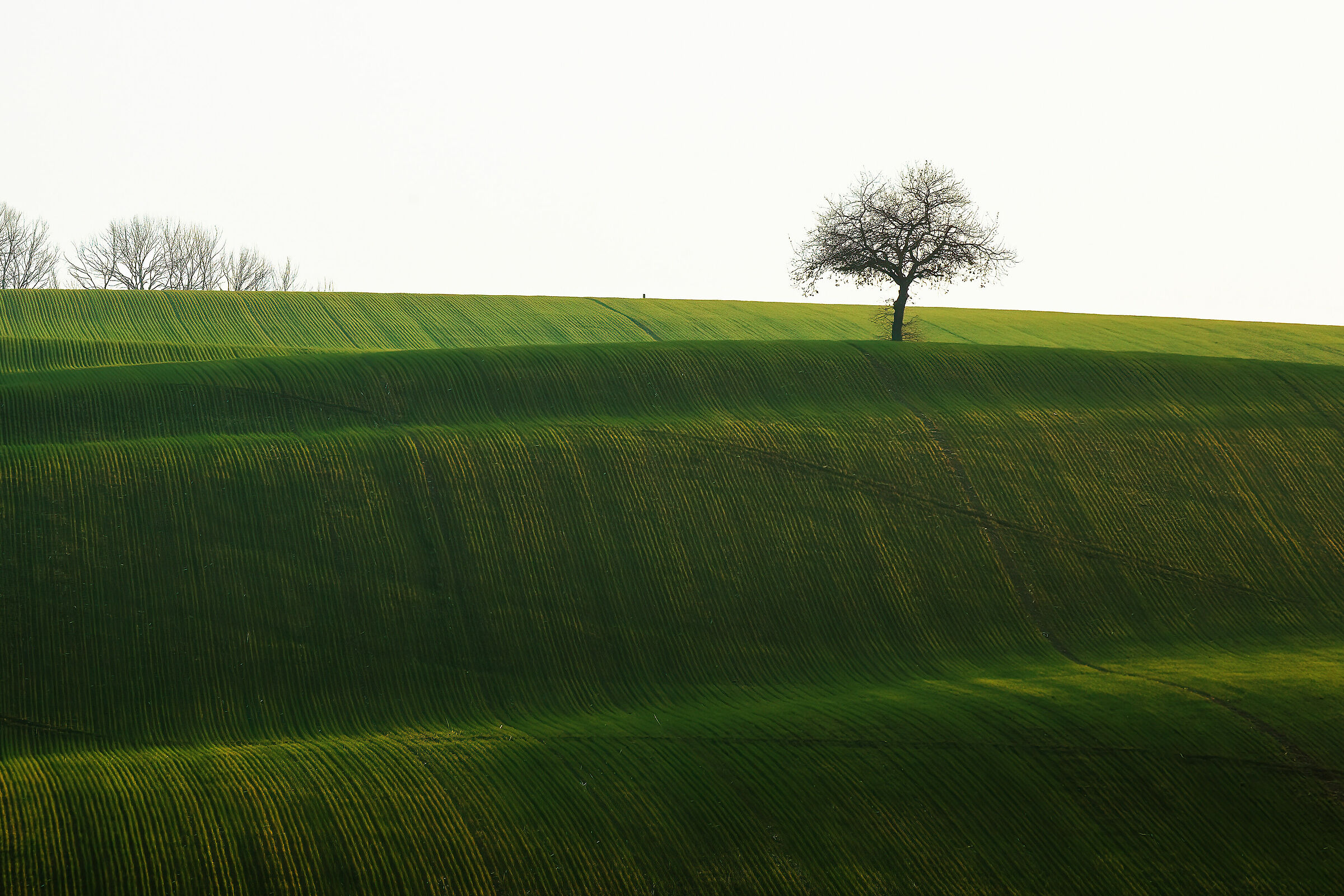 Green Hills