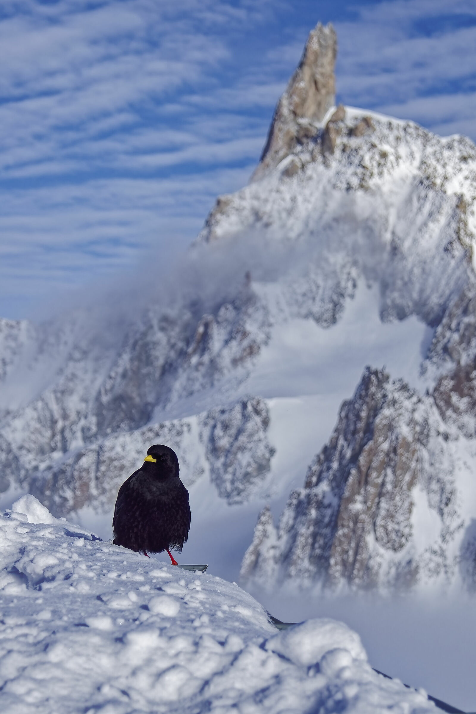 Meeting at 3500m
