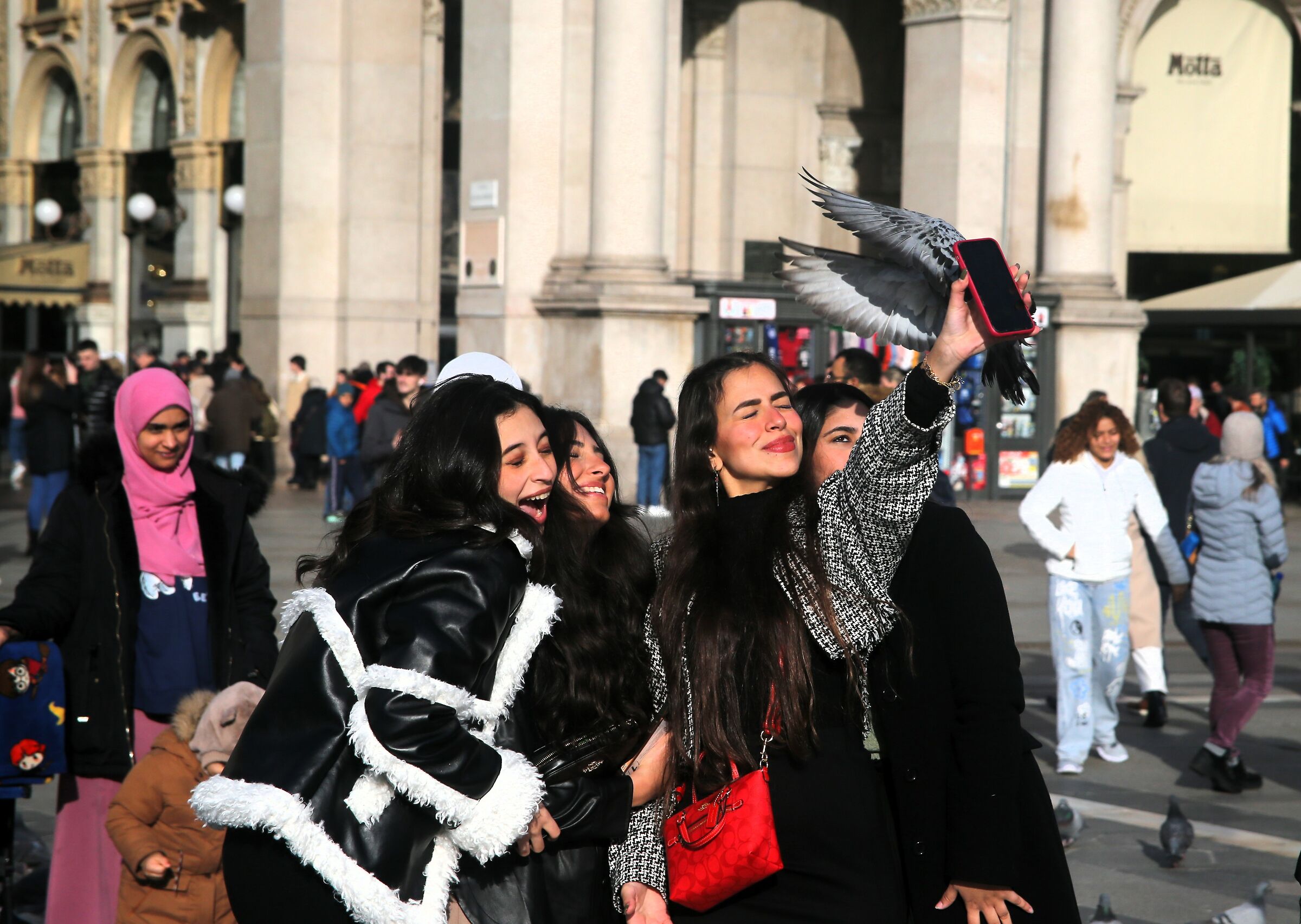 Piccione...impiccione!