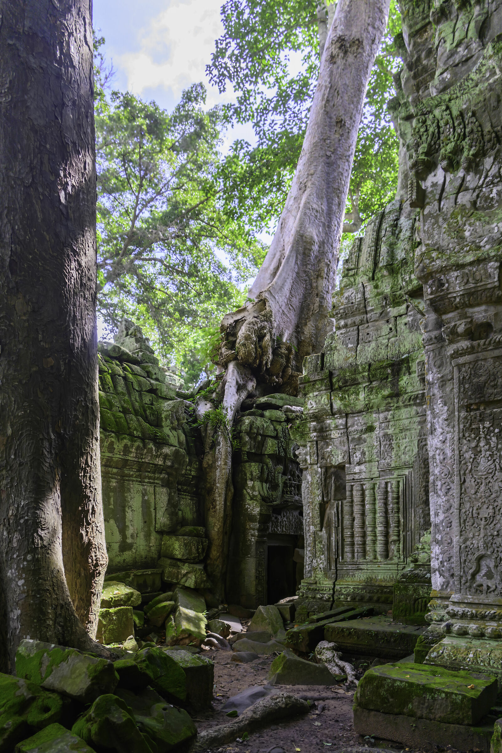 Cambodia Angkor